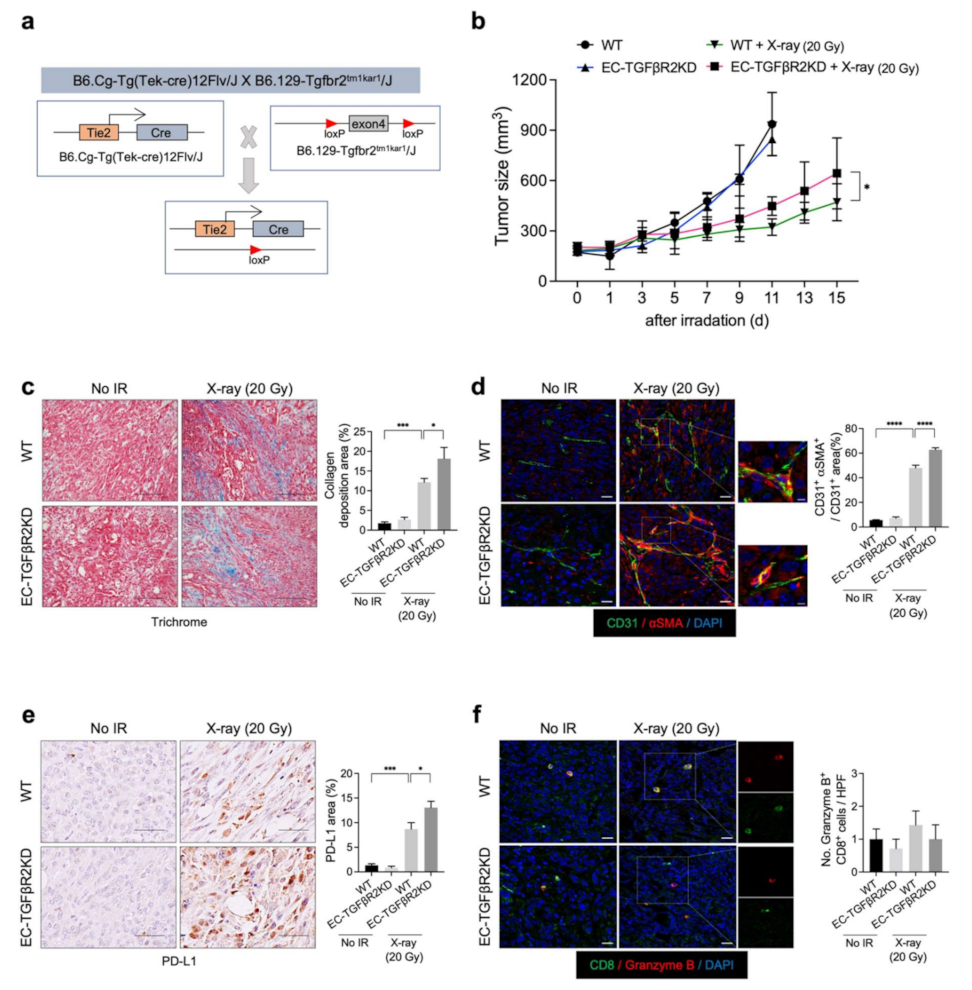 Cancers 13 05232 g005