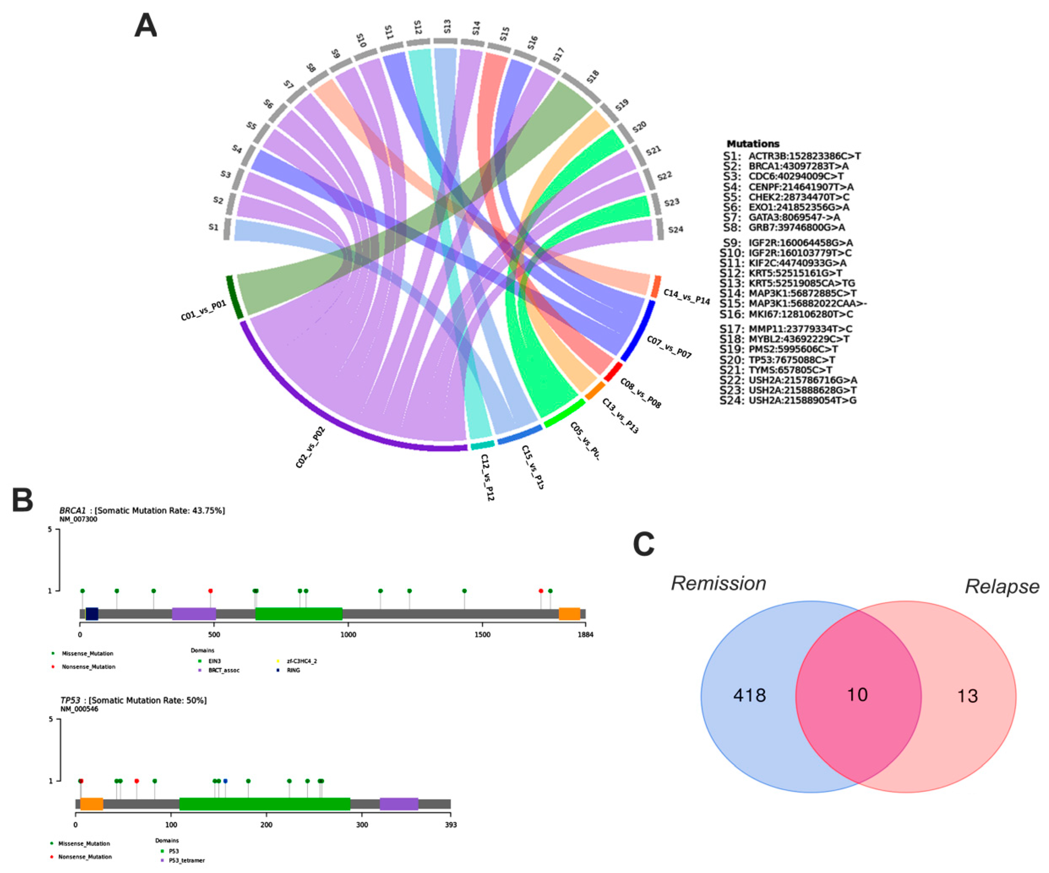 Cancers 13 05233 g007