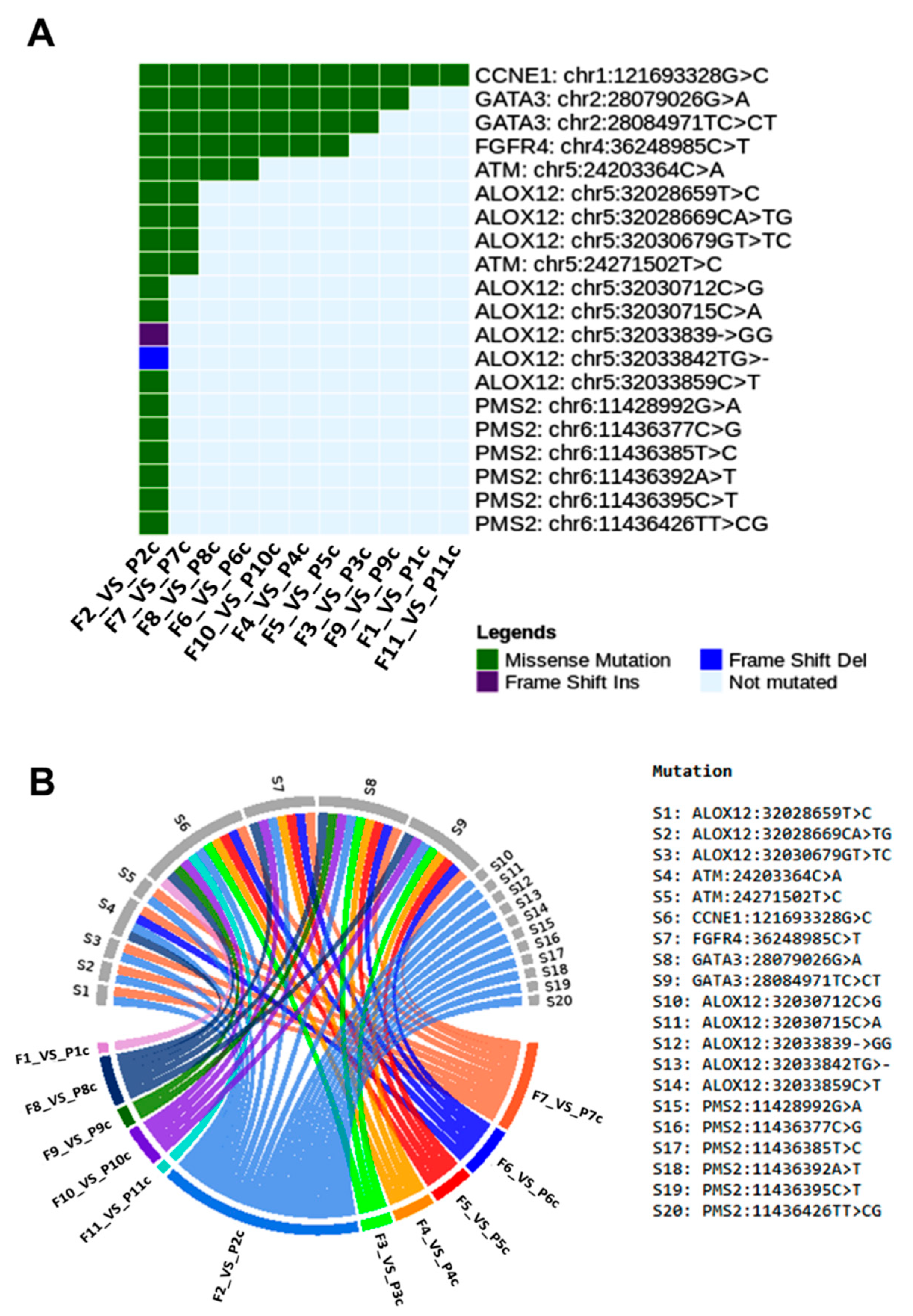 Cancers 13 05233 g009