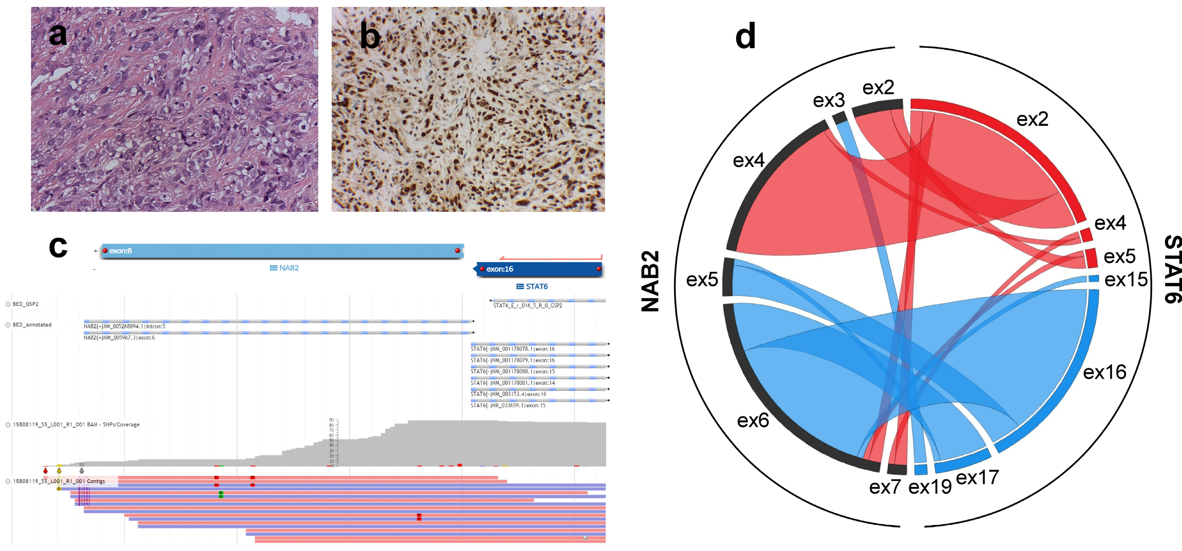 Cancers 13 05237 g001