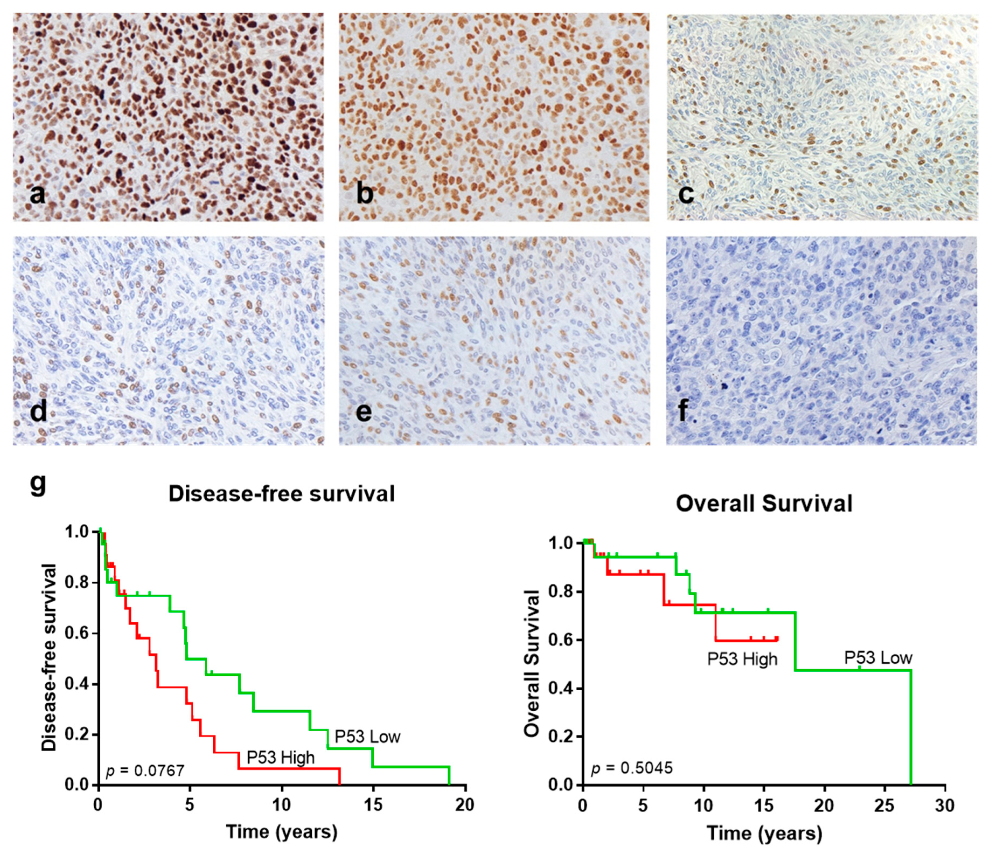 Cancers 13 05237 g002