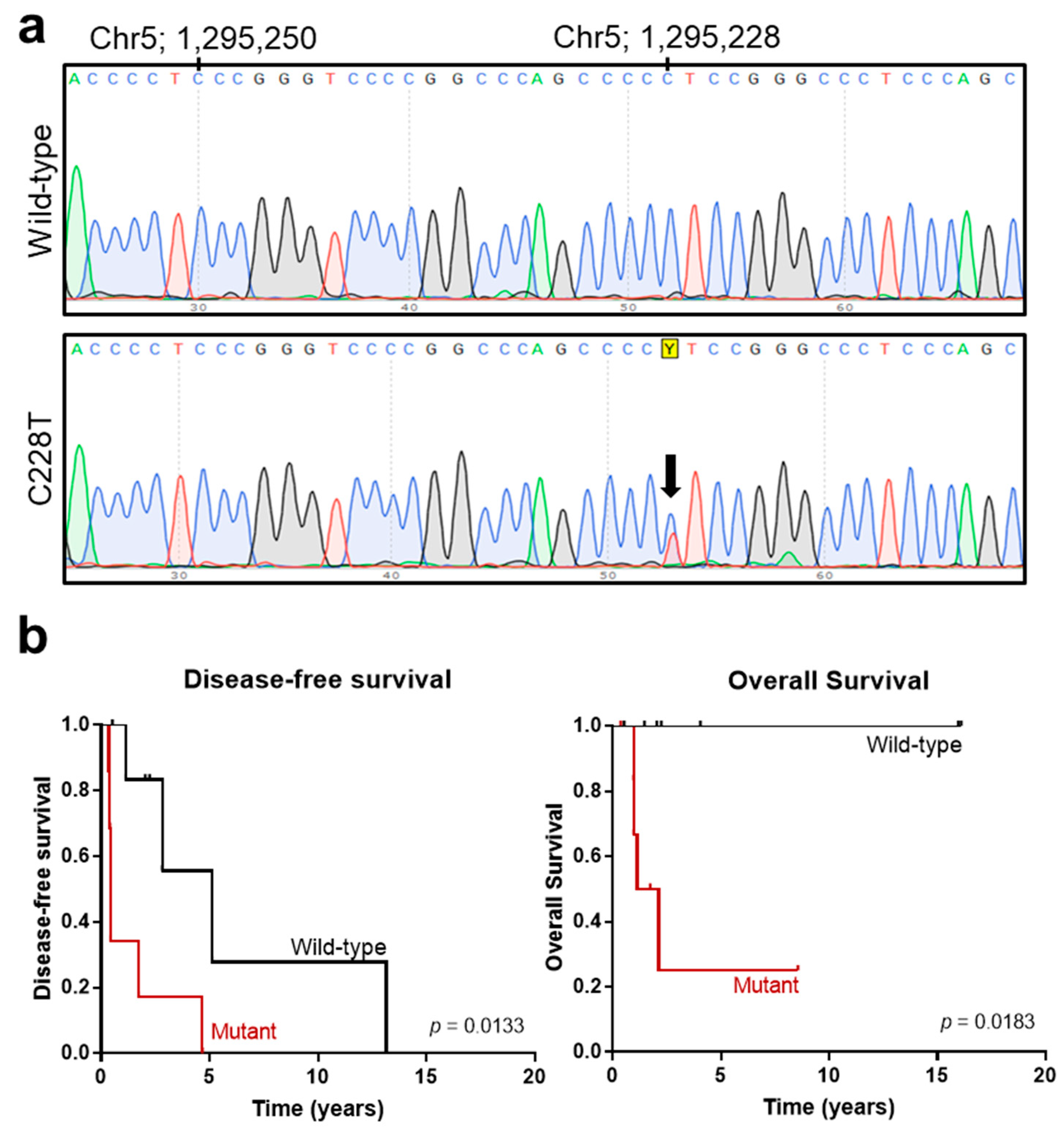 Cancers 13 05237 g003