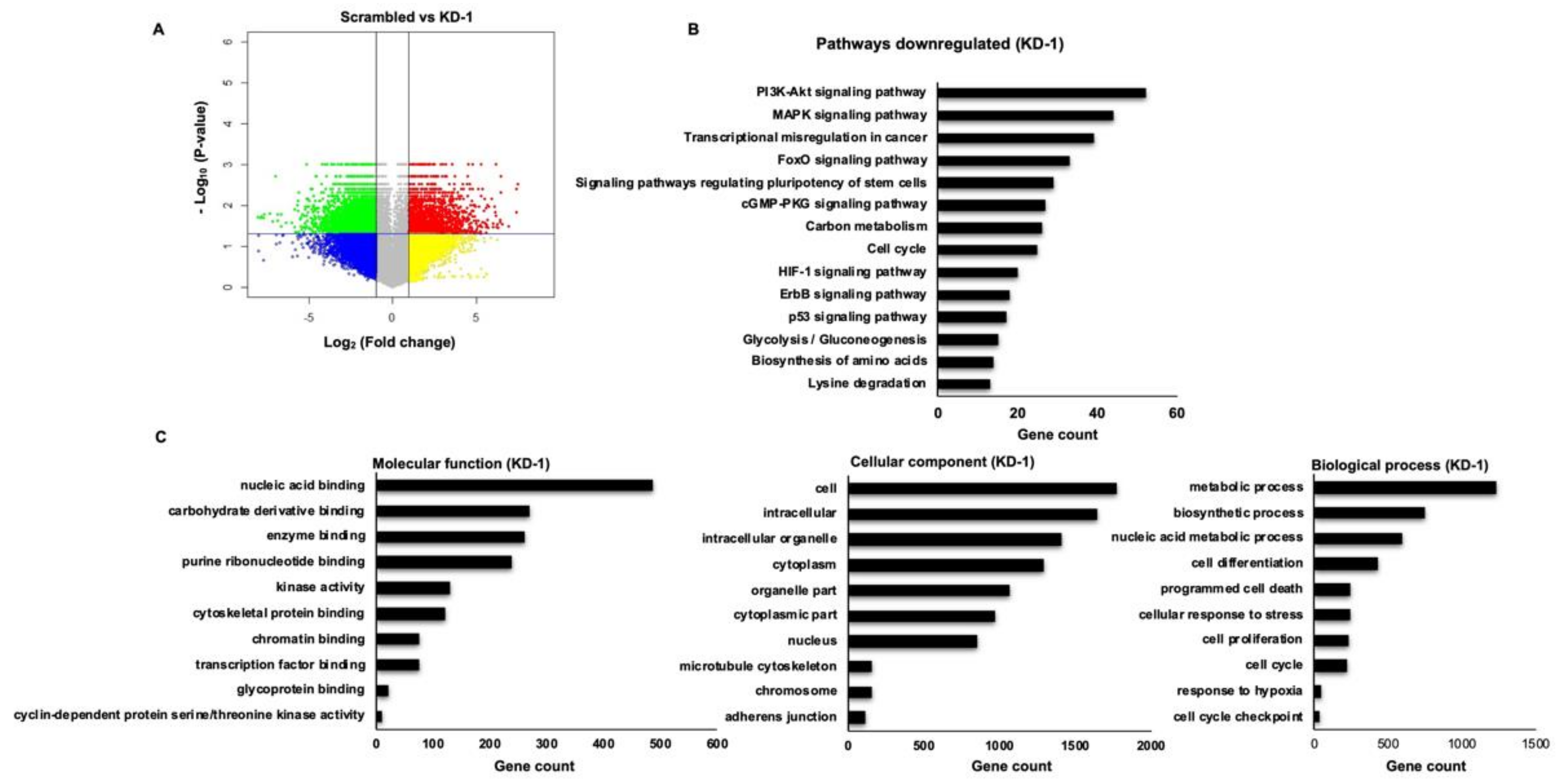 Cancers 13 05248 g005