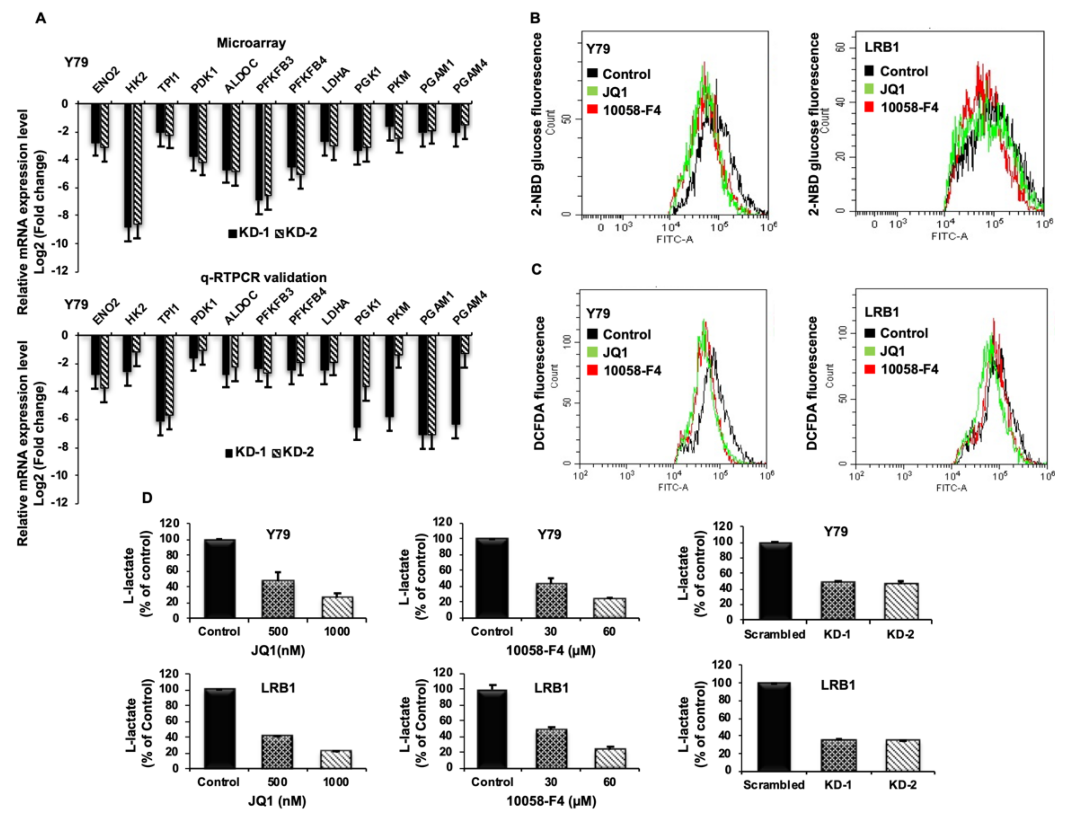 Cancers 13 05248 g006