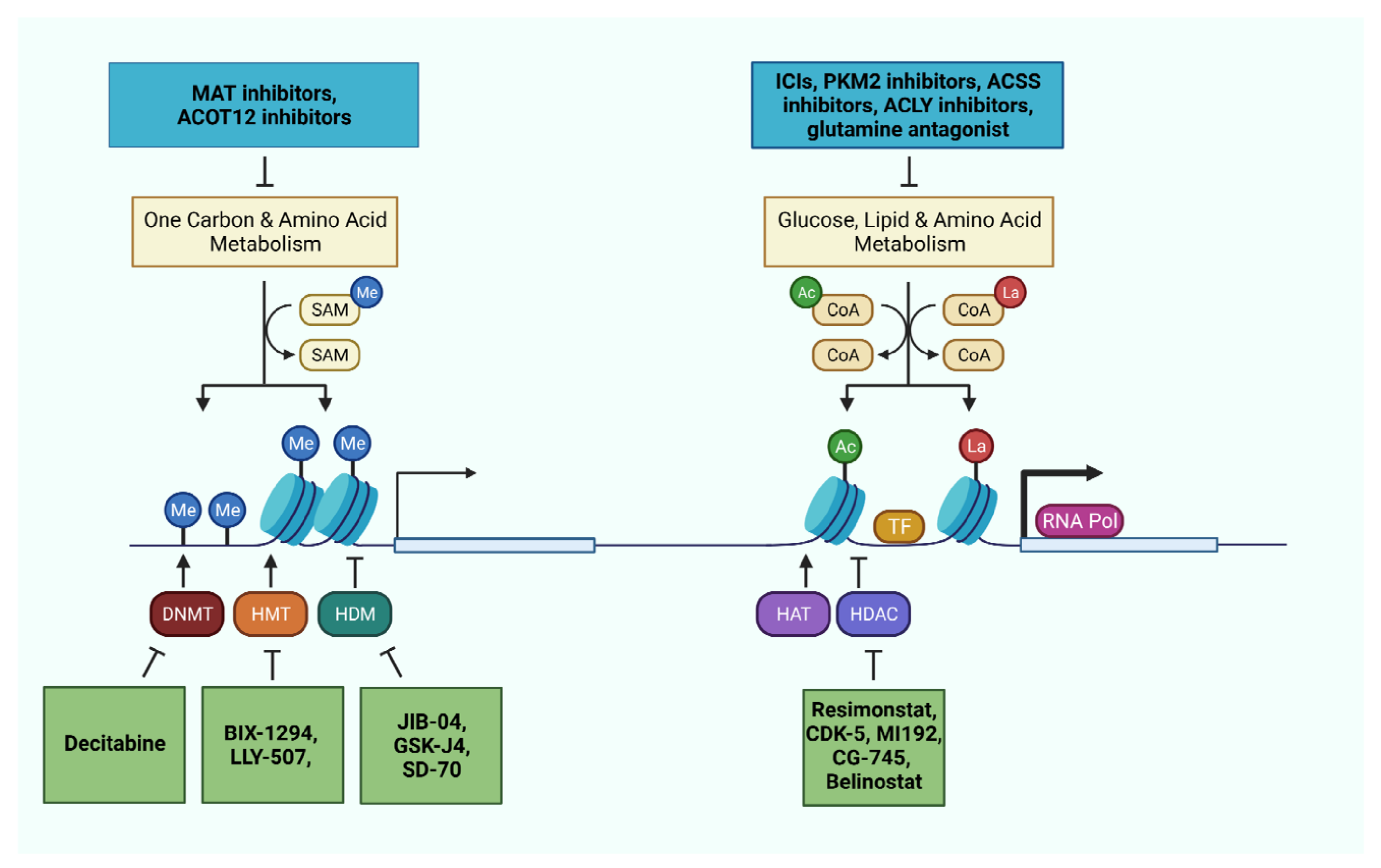 Cancers 13 05250 g003