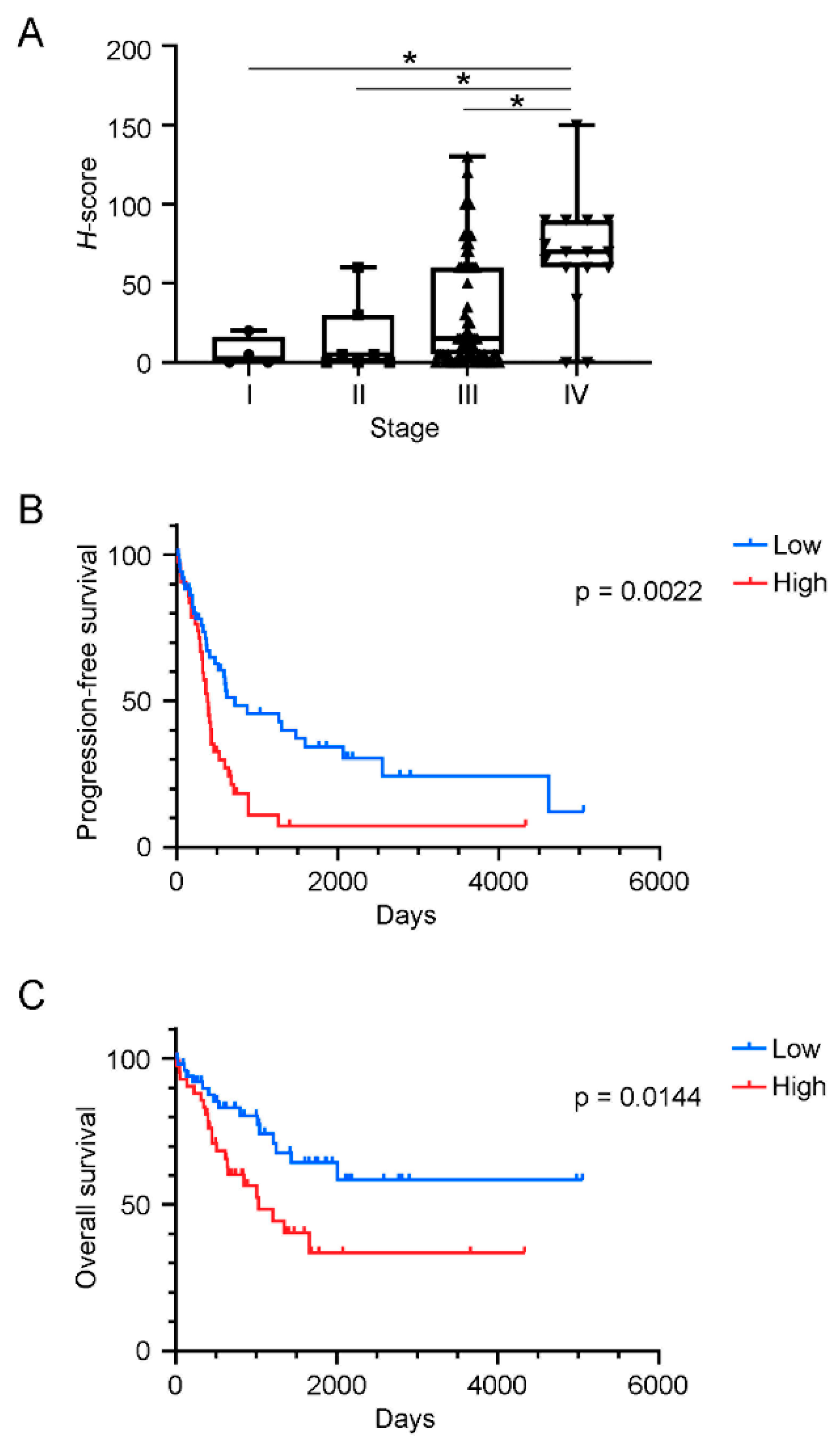 Cancers 13 05251 g002