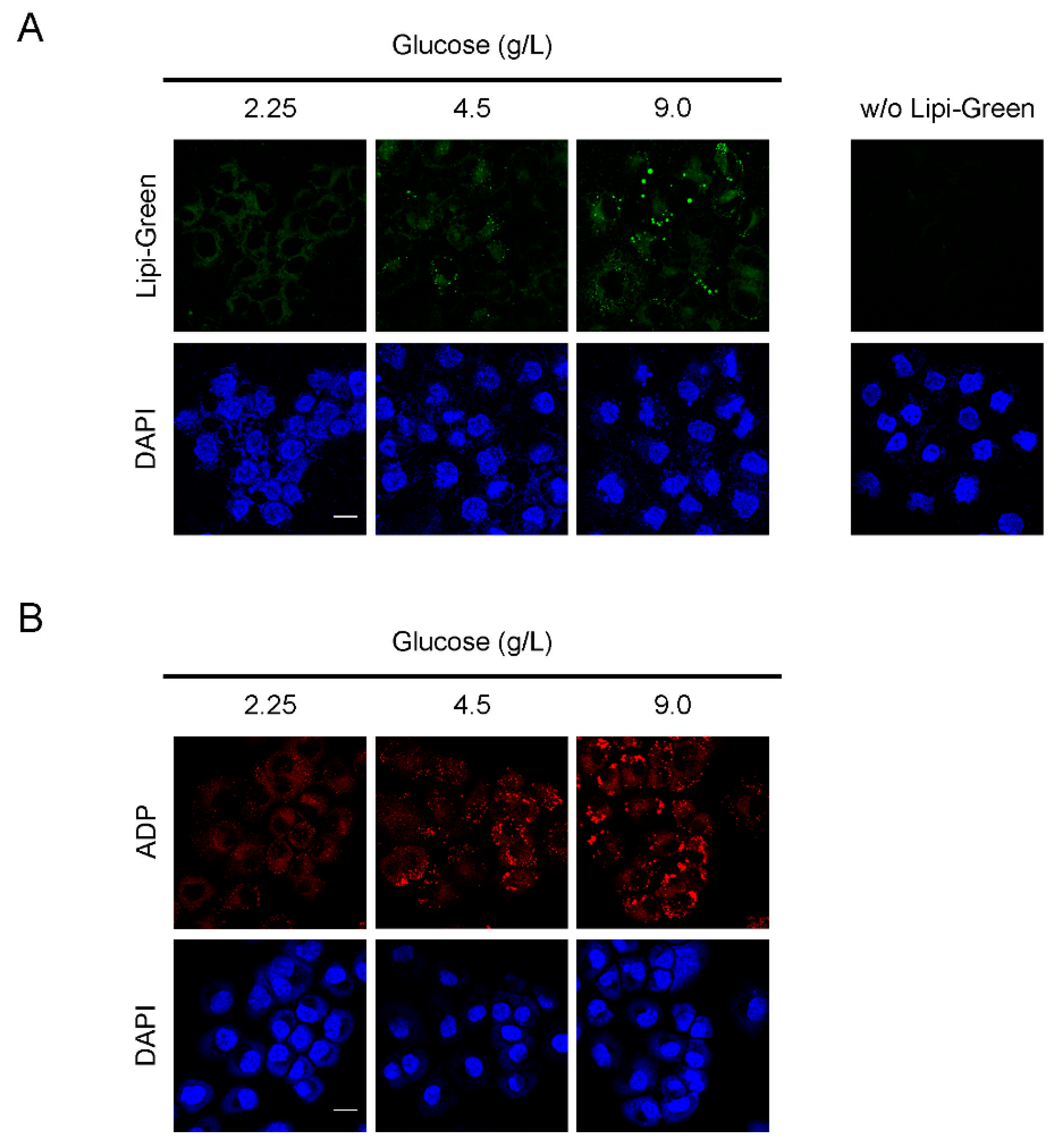 Cancers 13 05251 g003
