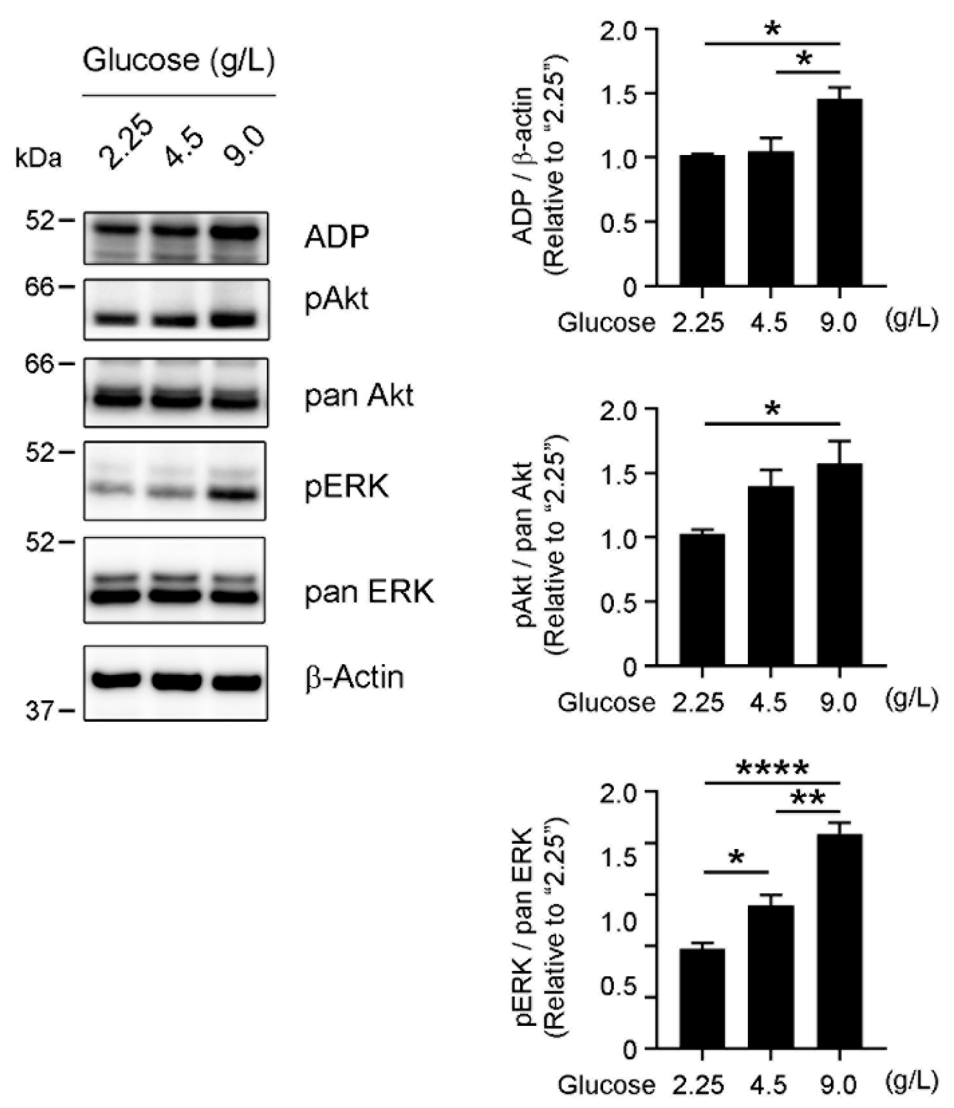 Cancers 13 05251 g004
