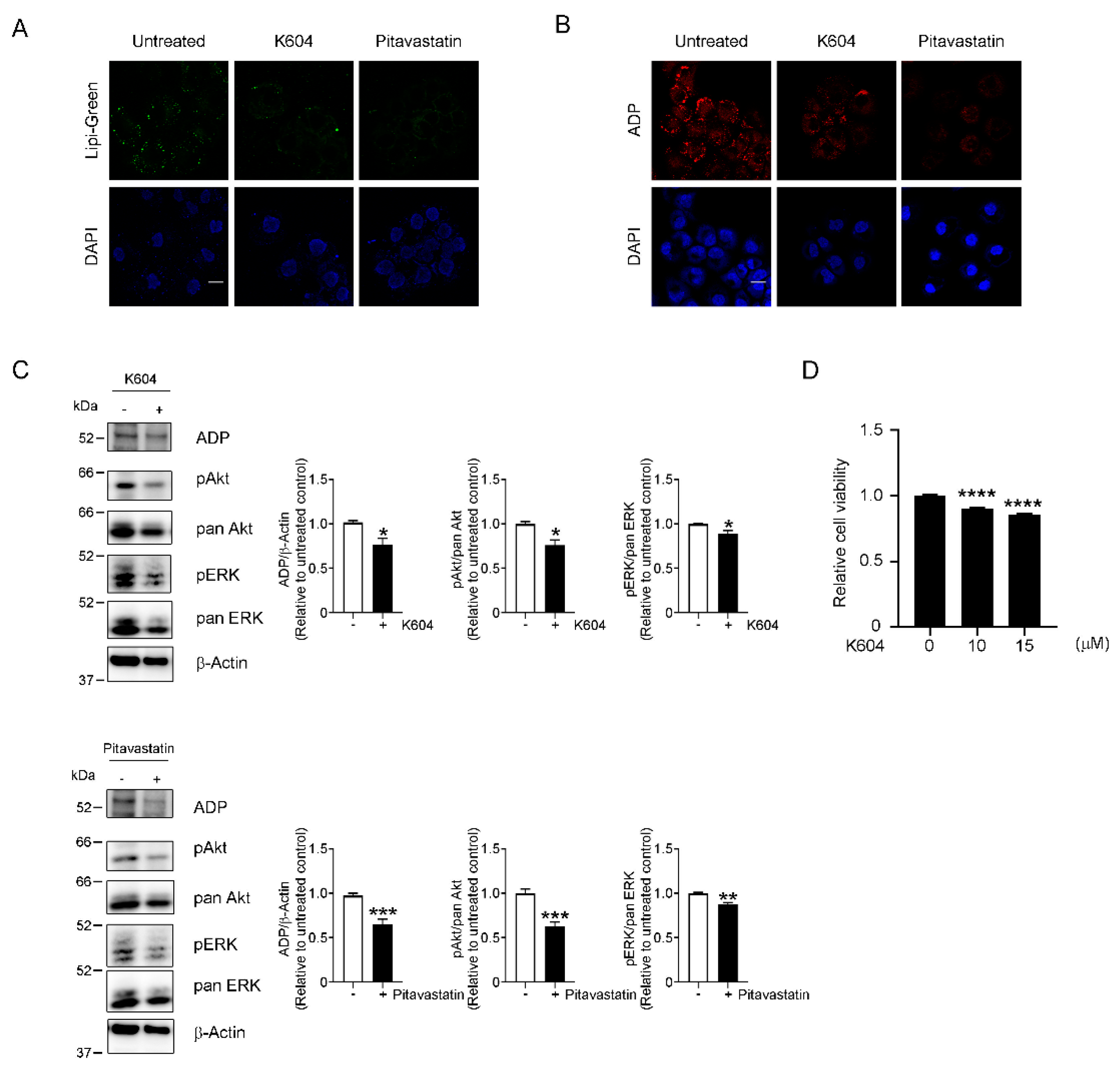 Cancers 13 05251 g005