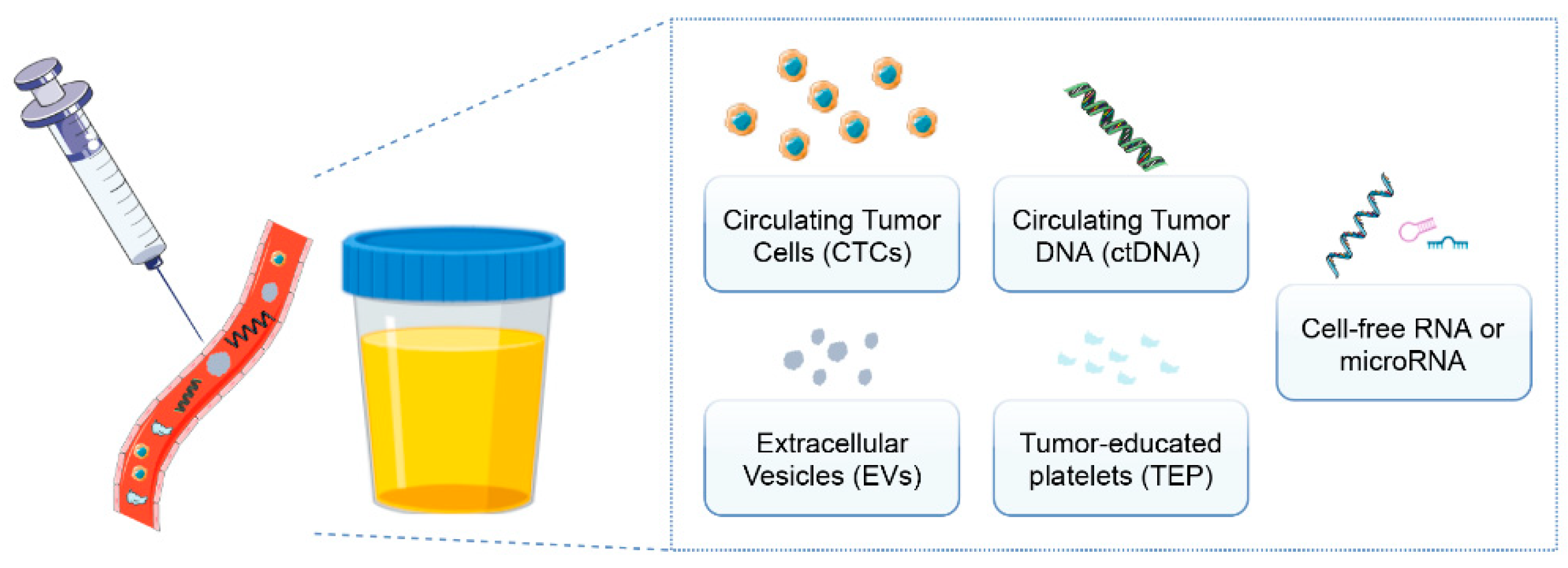 Cancers 13 05252 g001