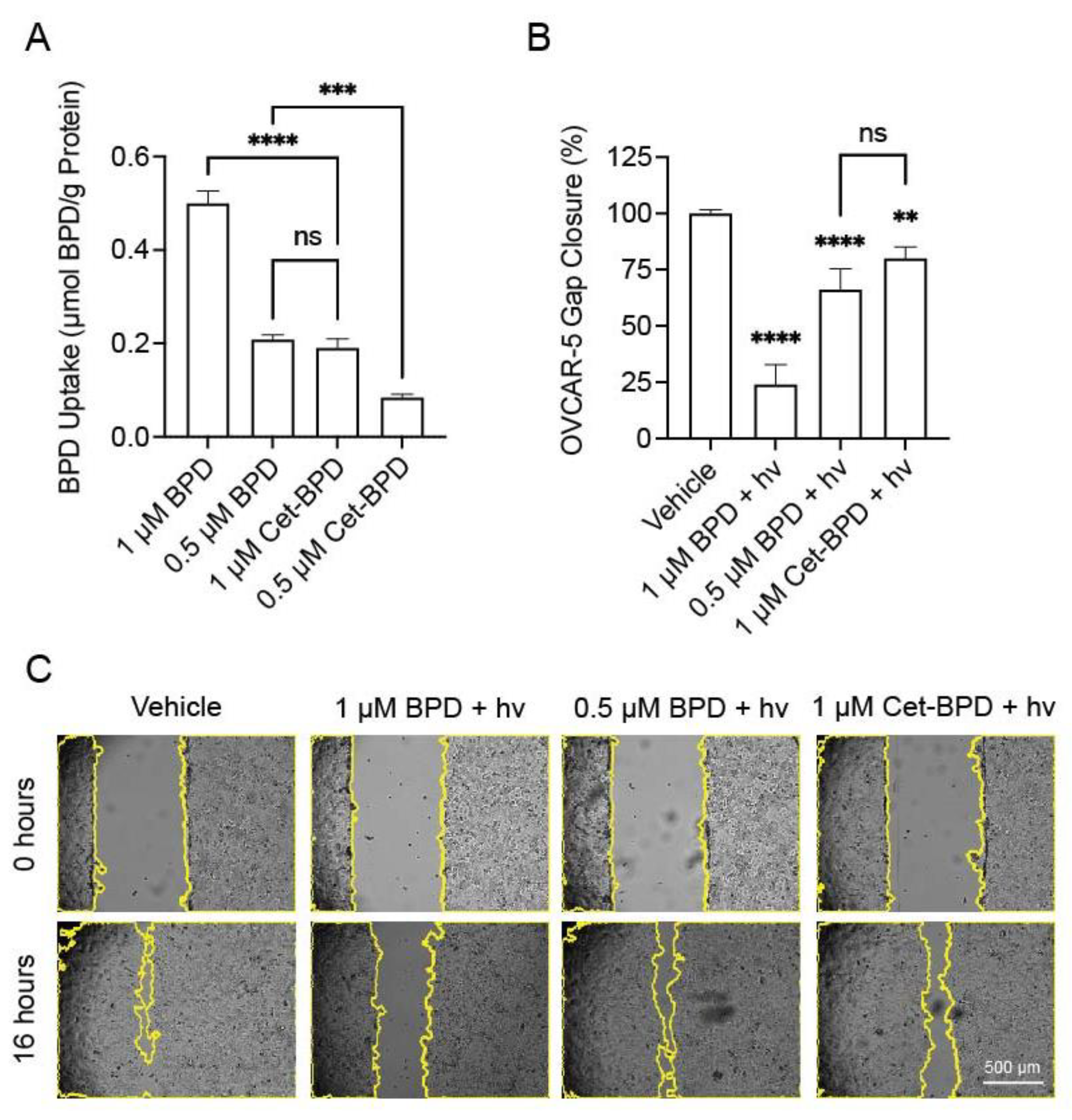 Cancers 13 05259 g003
