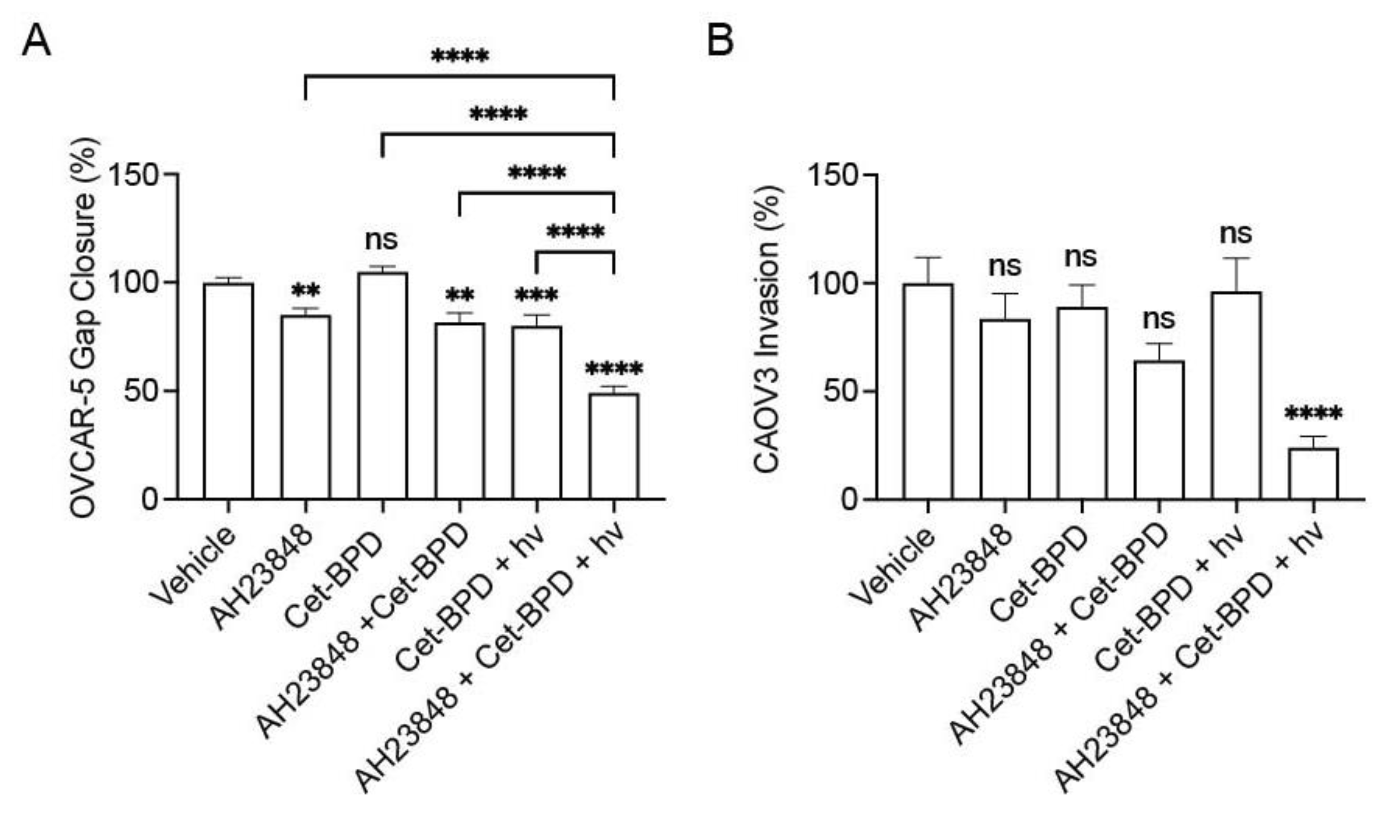 Cancers 13 05259 g004