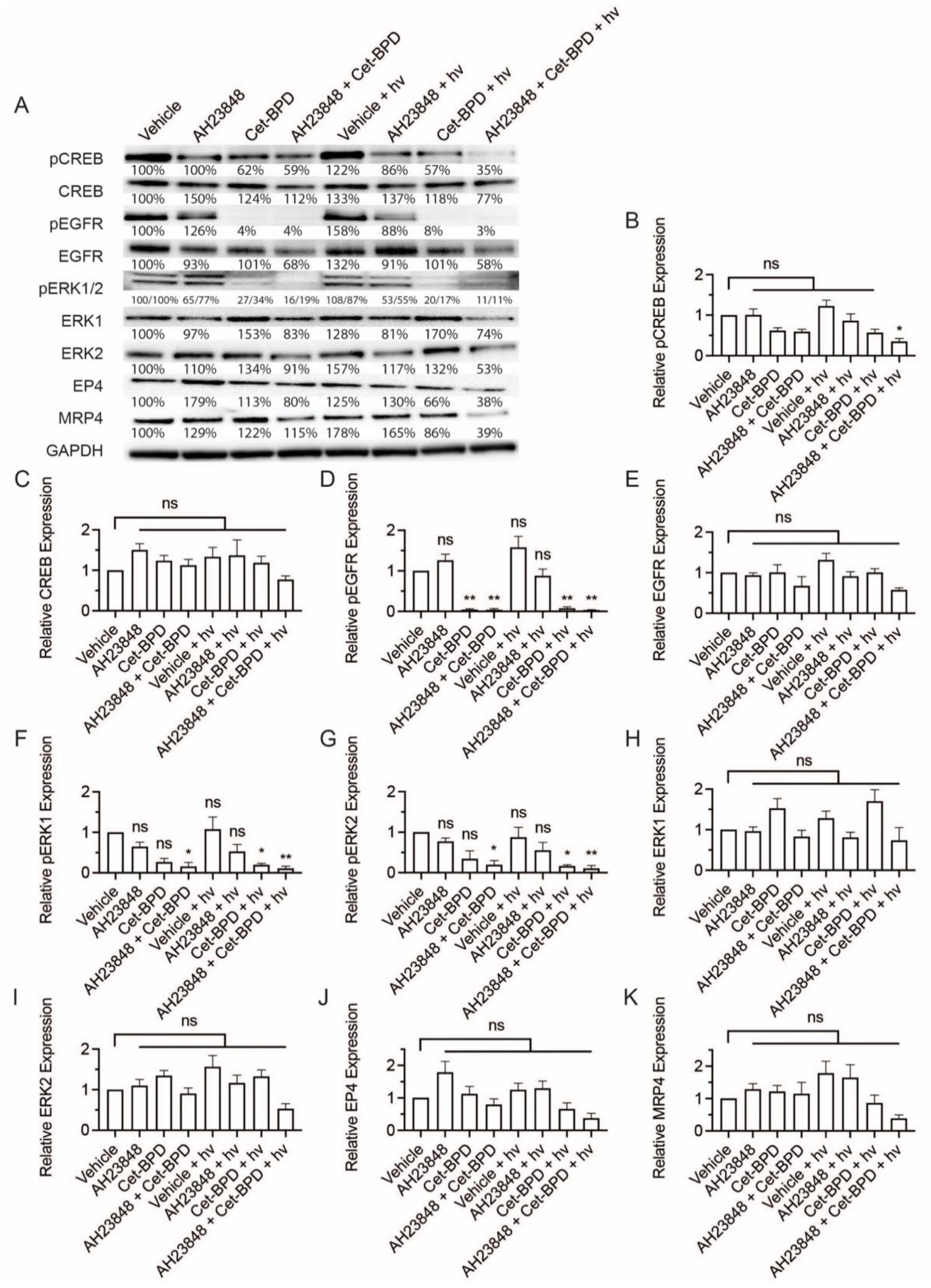 Cancers 13 05259 g005