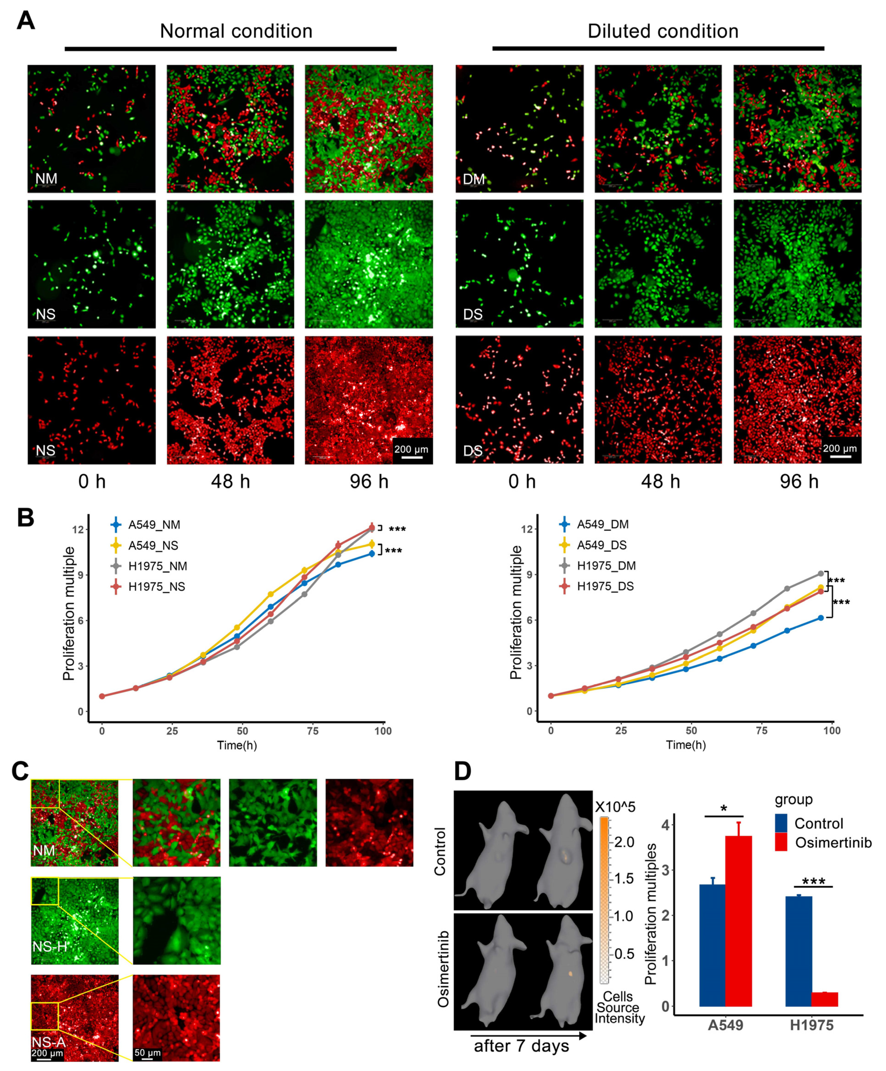 Cancers 13 05262 g001