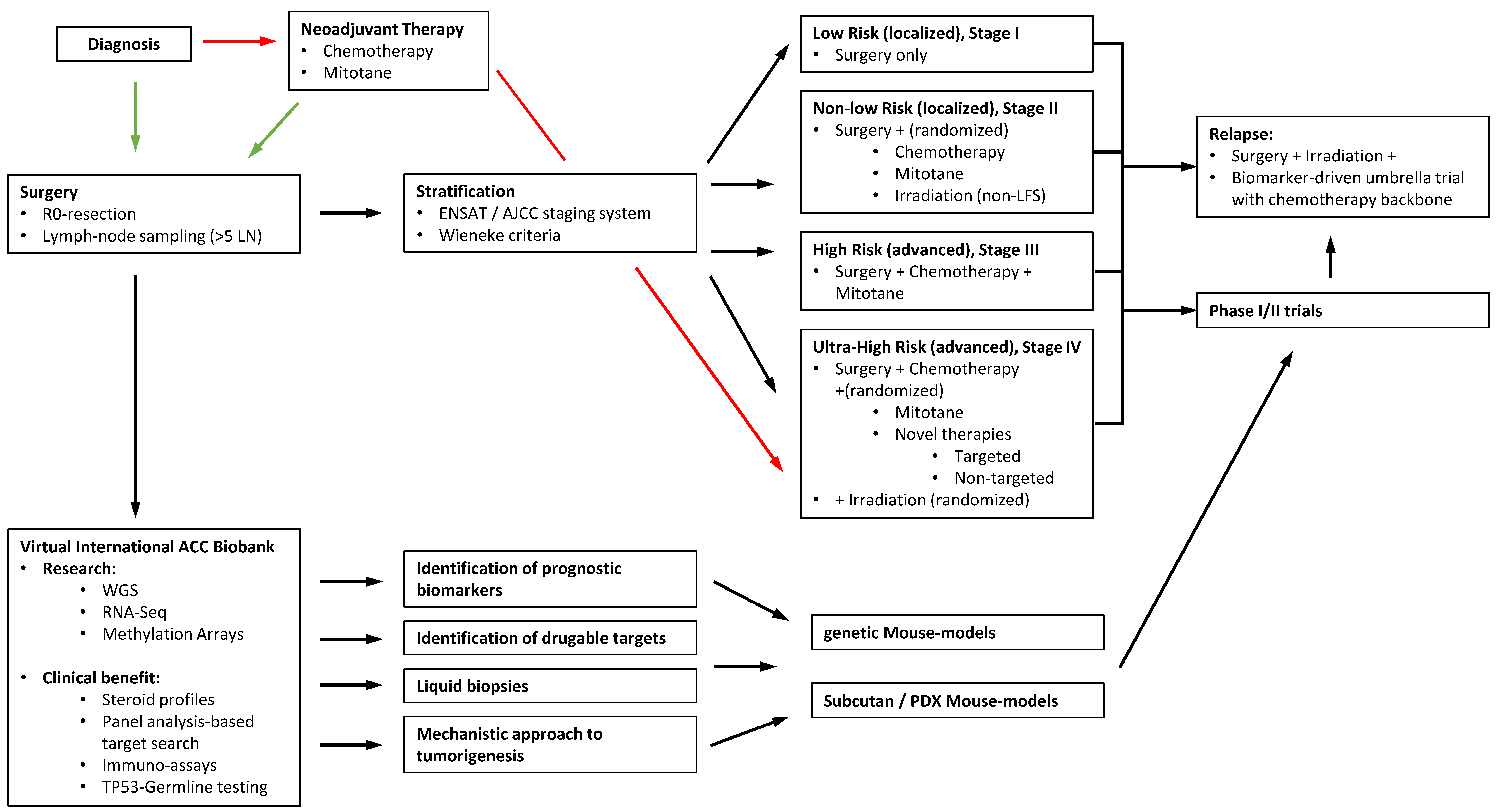 Cancers 13 05266 g003