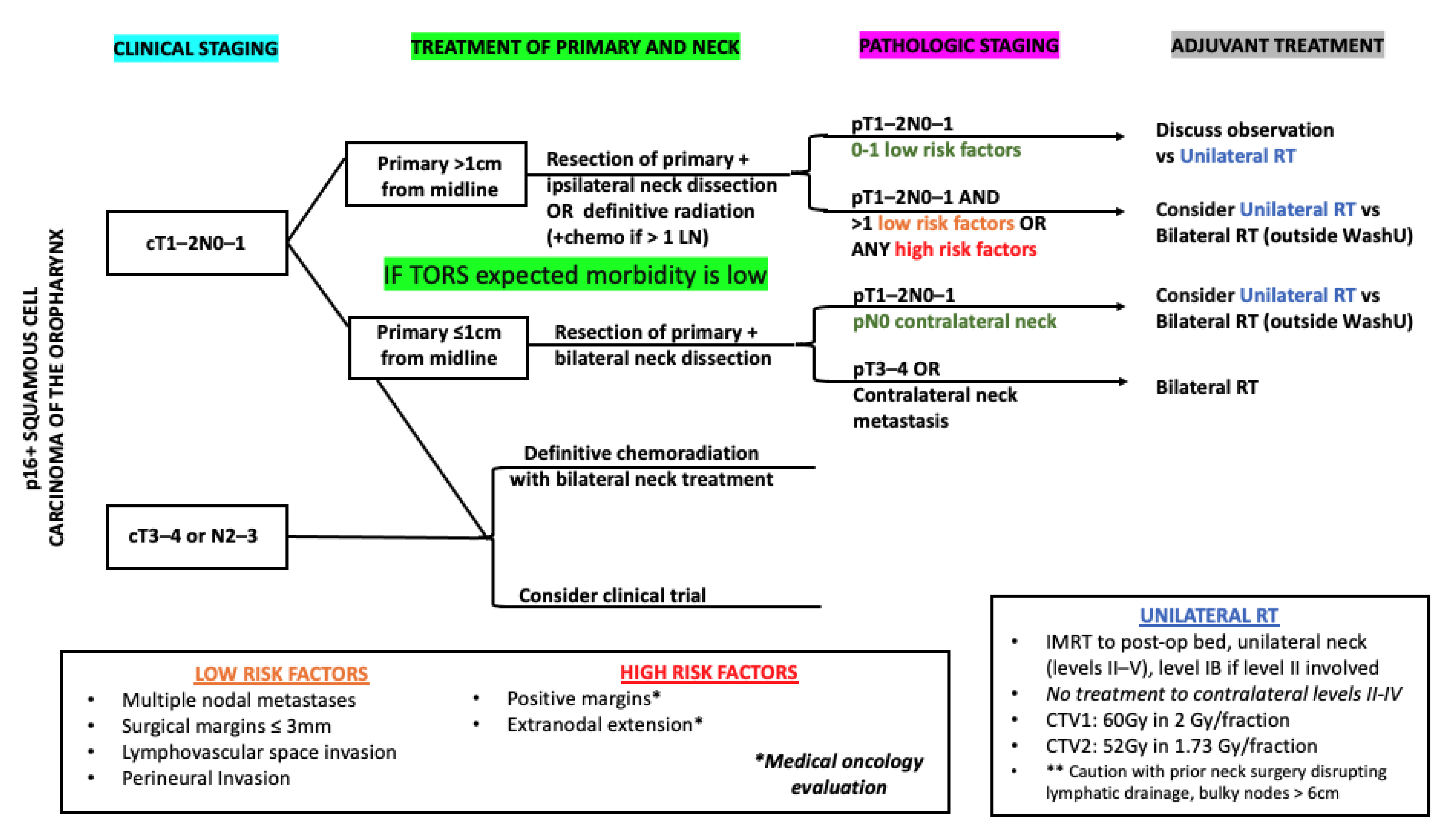 Cancers 13 05269 g001 Cancers 13 05269 g001