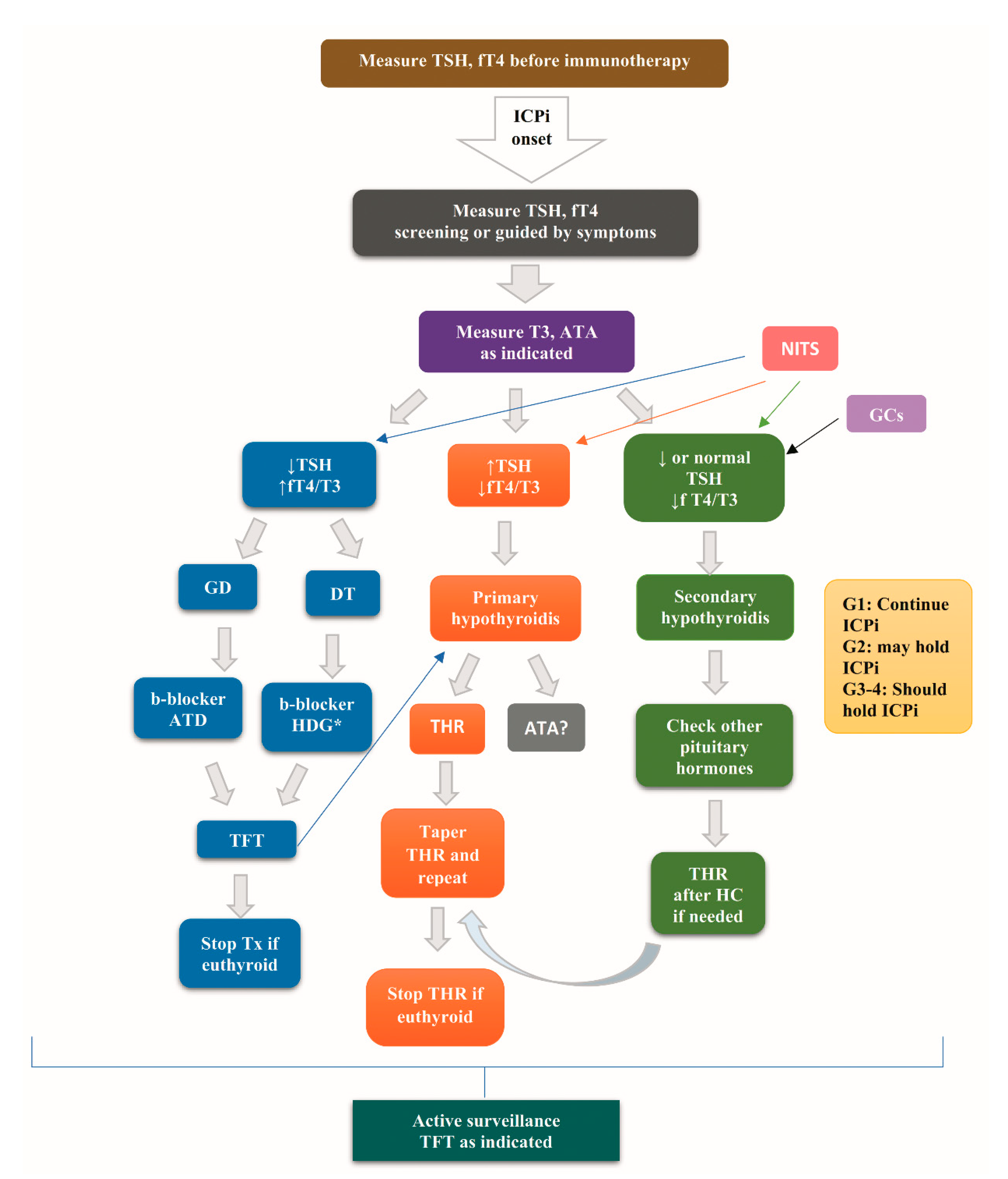 Cancers 13 05277 g003