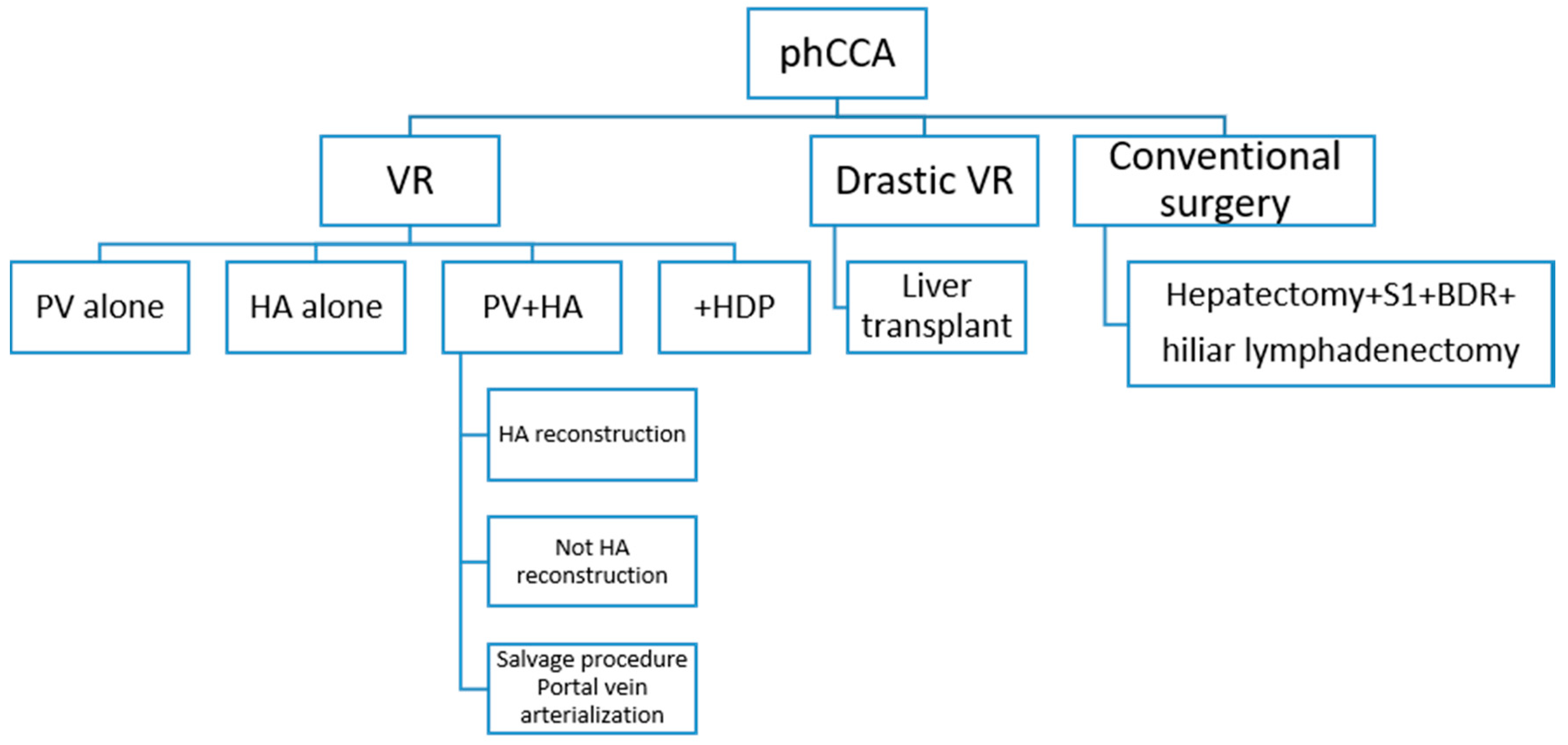 Cancers 13 05278 g001