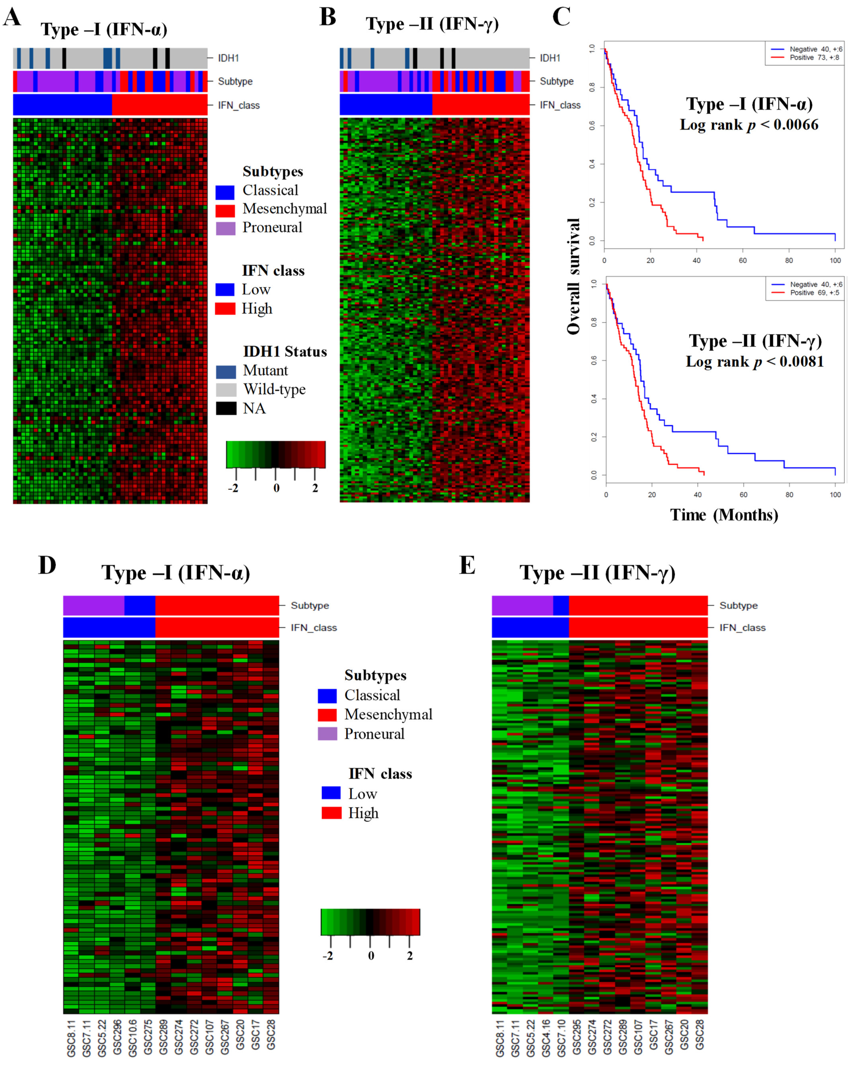 Cancers 13 05284 g001