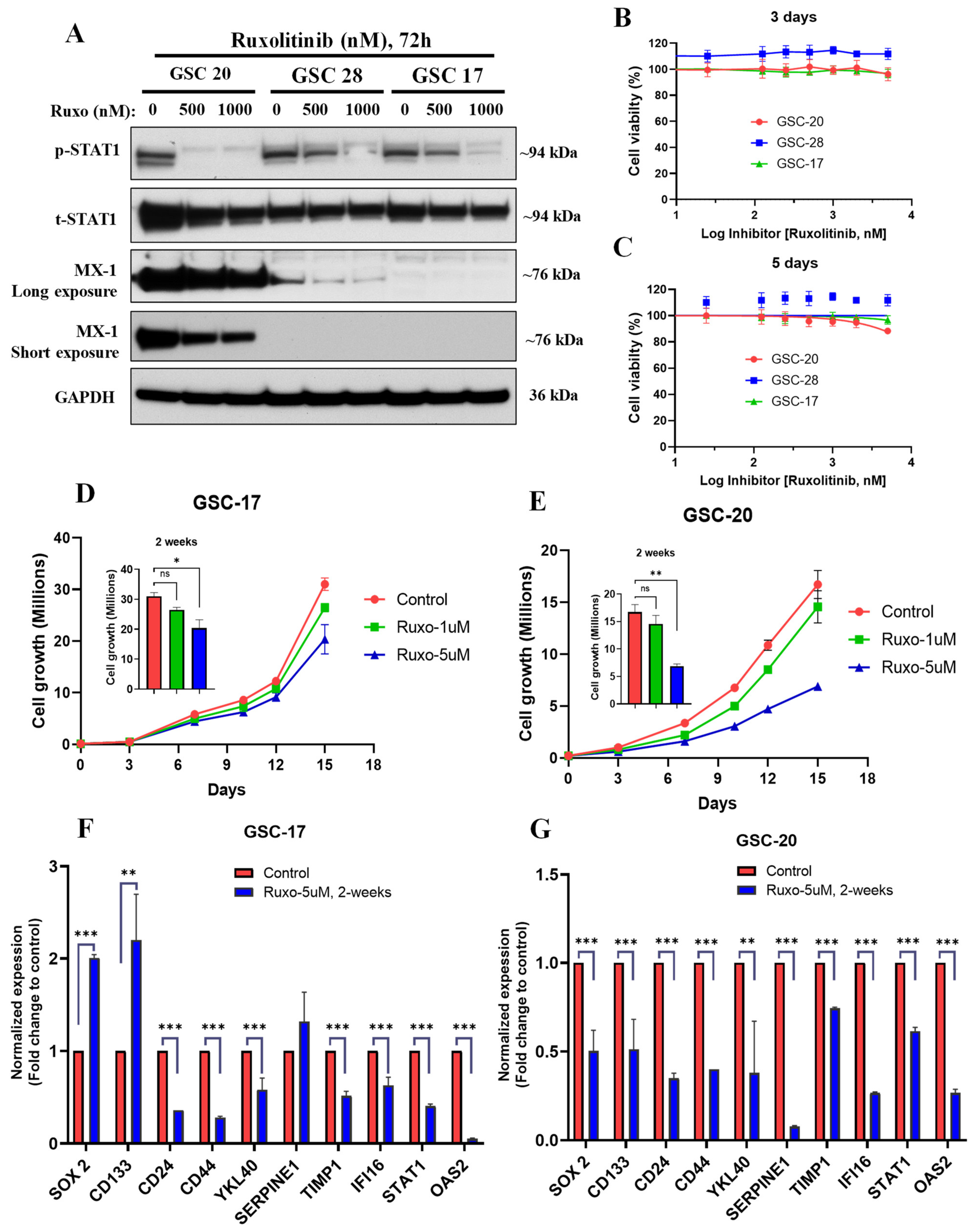 Cancers 13 05284 g004