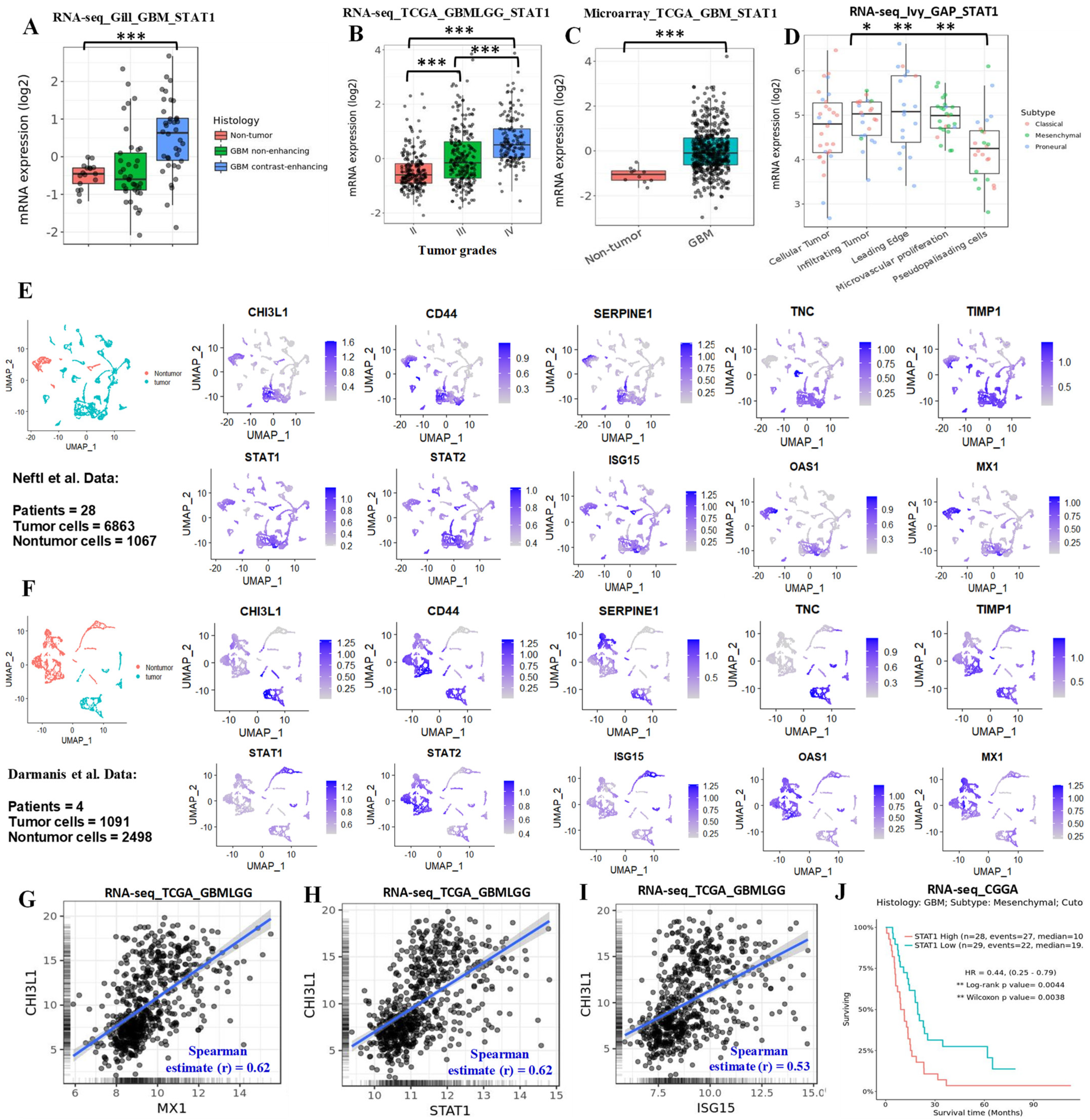 Cancers 13 05284 g006