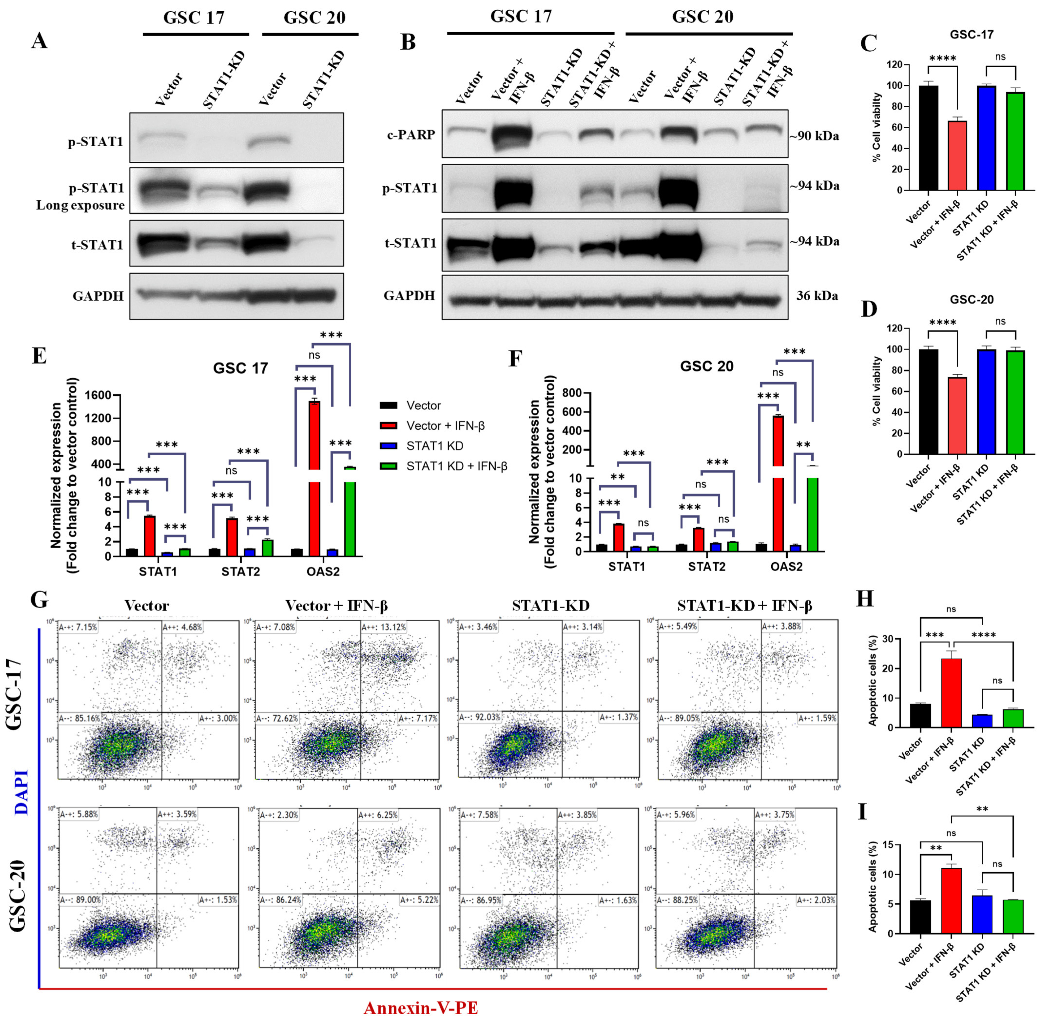 Cancers 13 05284 g007