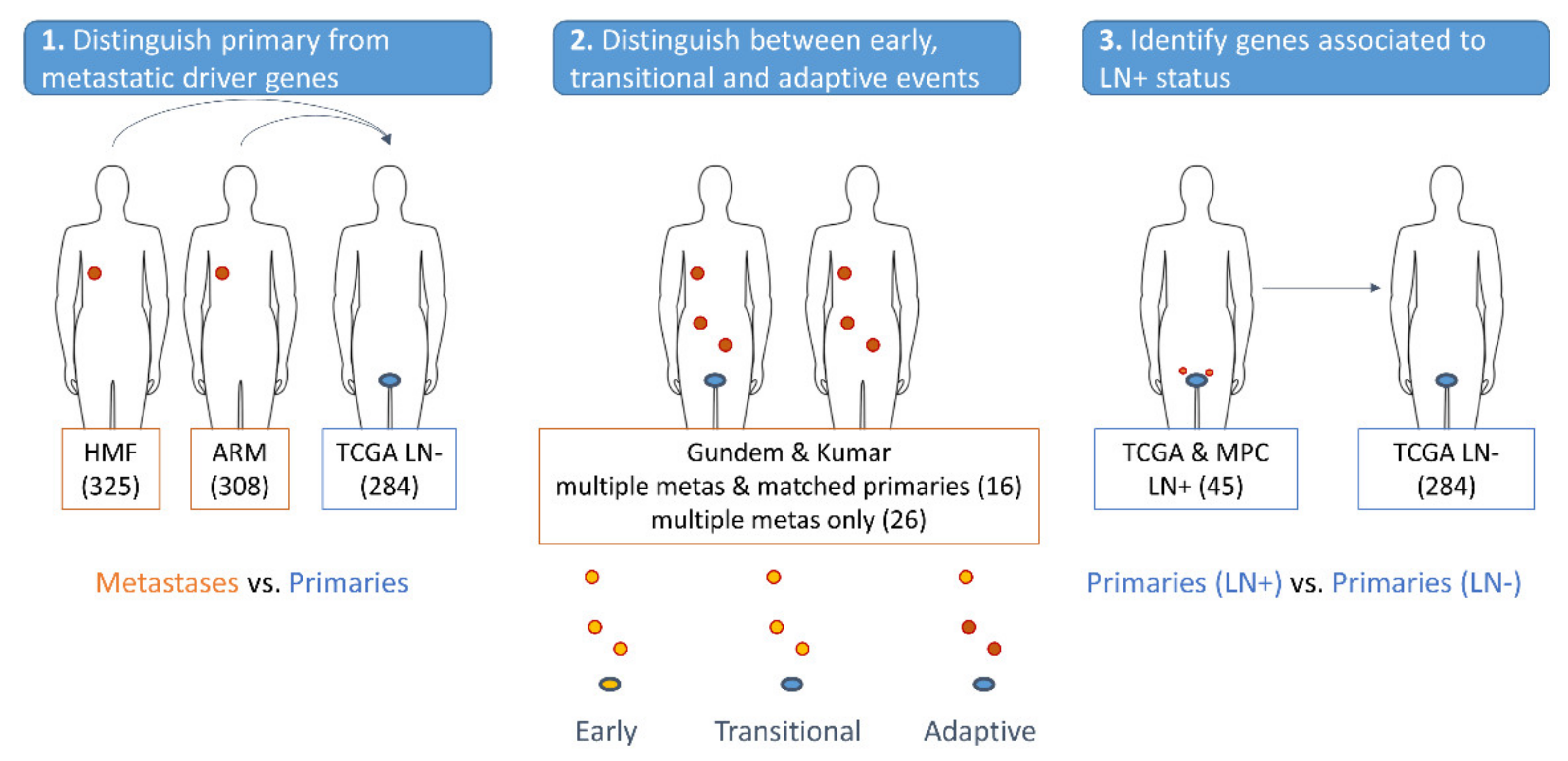 Cancers 13 05291 g001