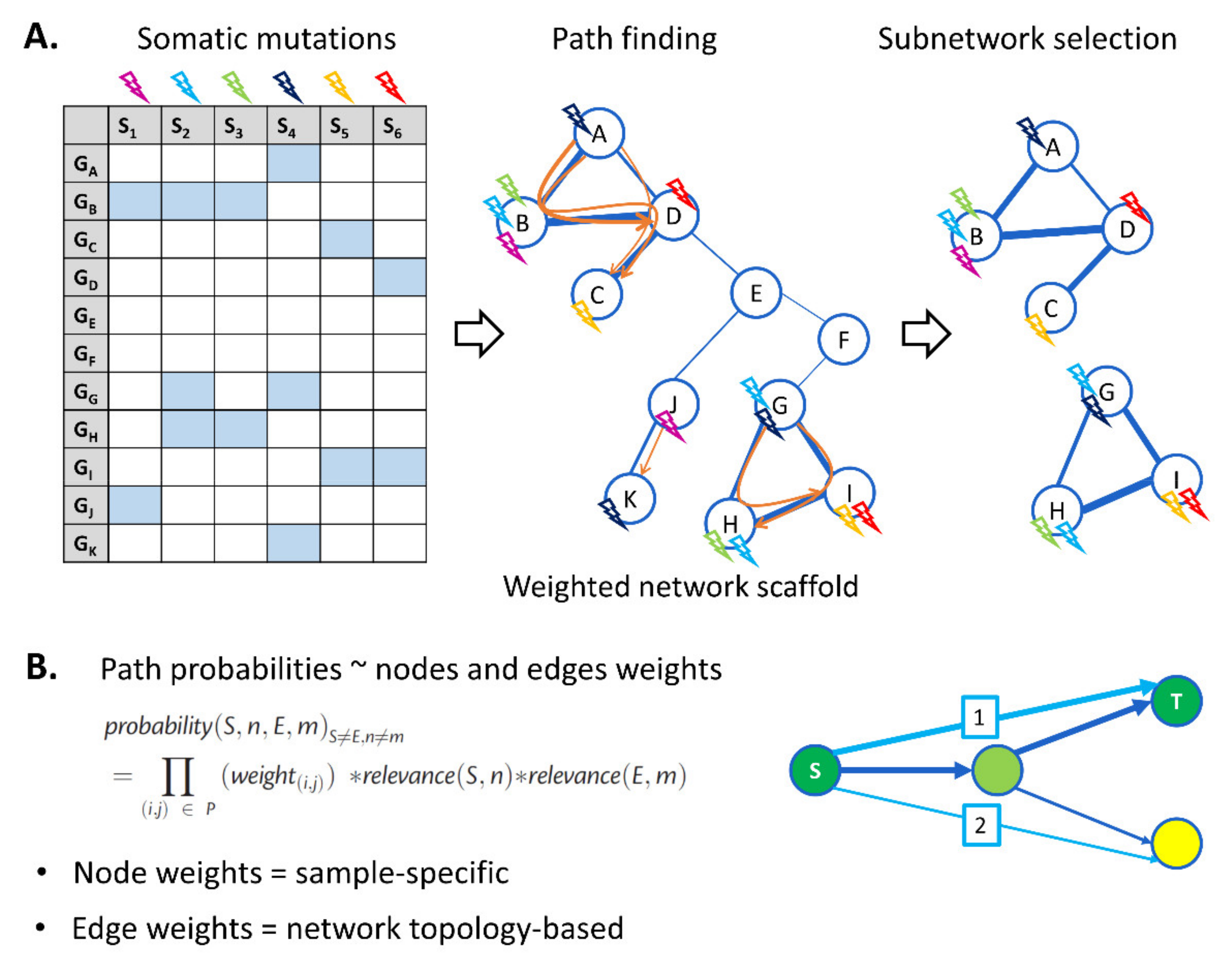 Cancers 13 05291 g002