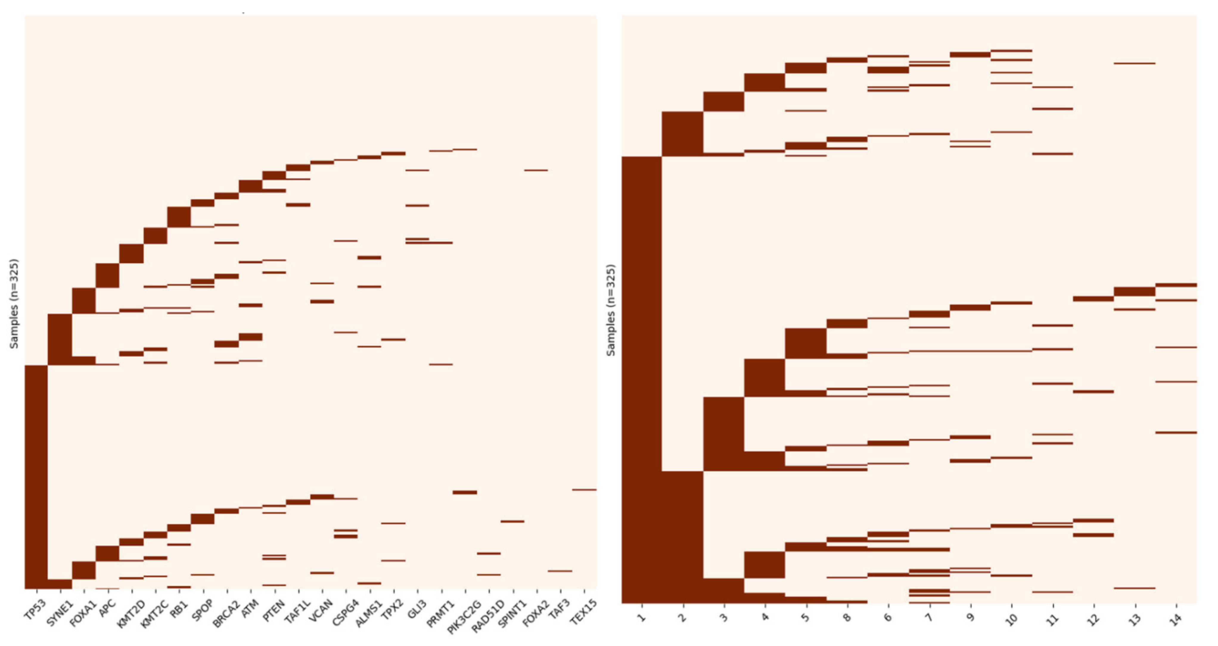 Cancers 13 05291 g004