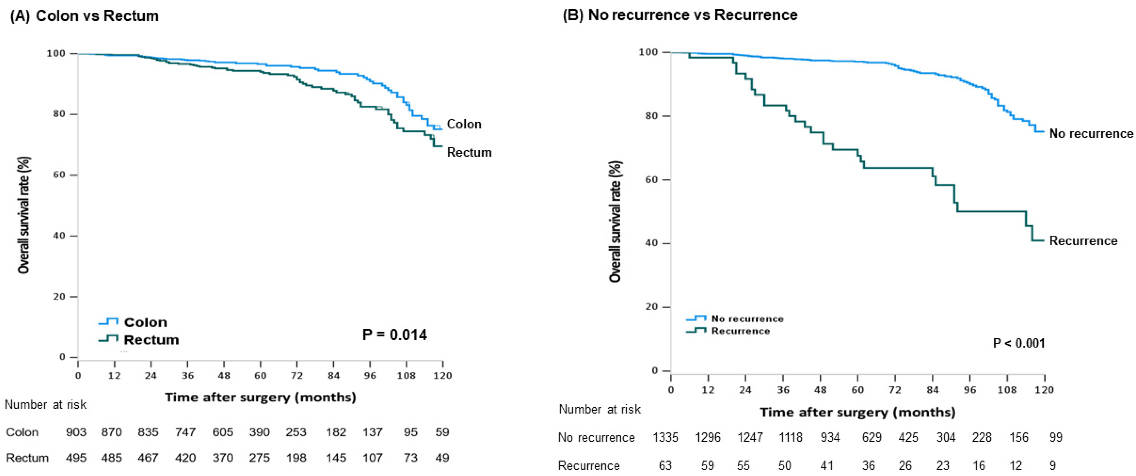 Cancers 13 05294 g001