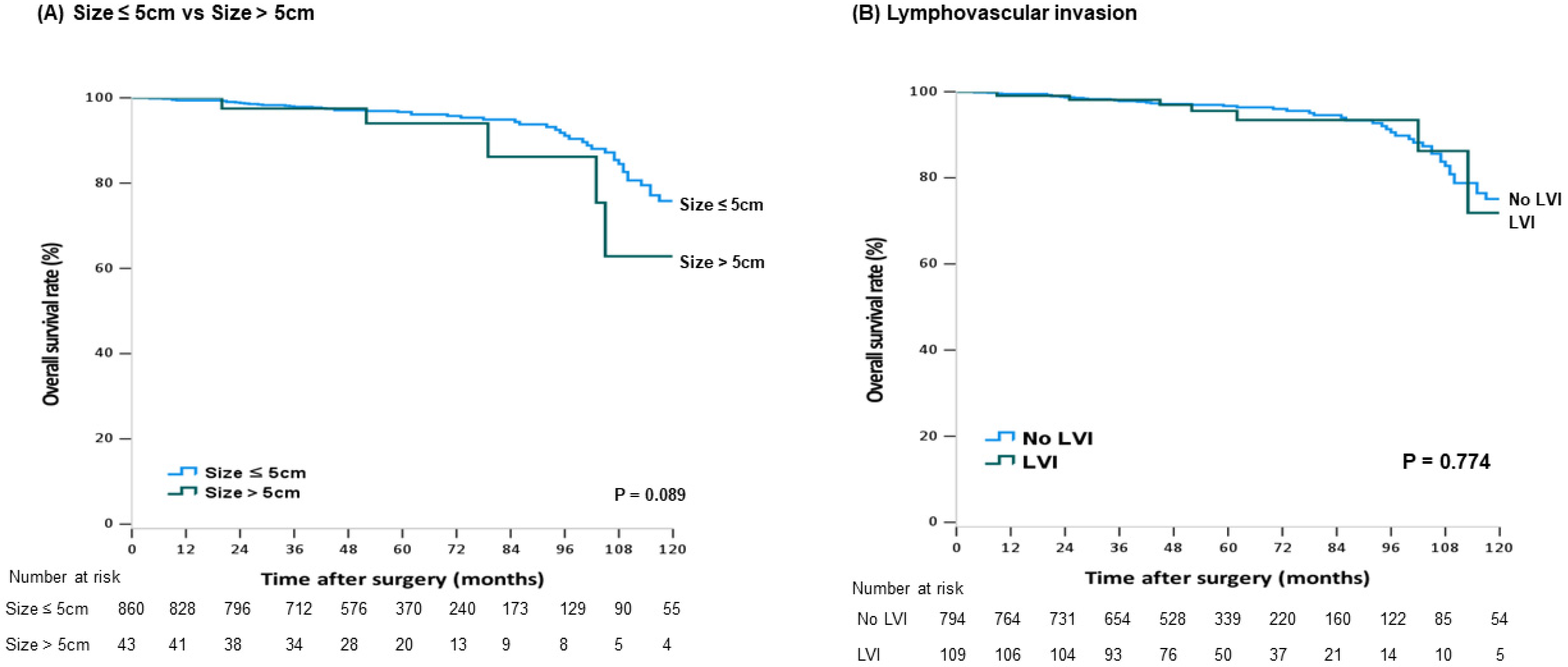 Cancers 13 05294 g002