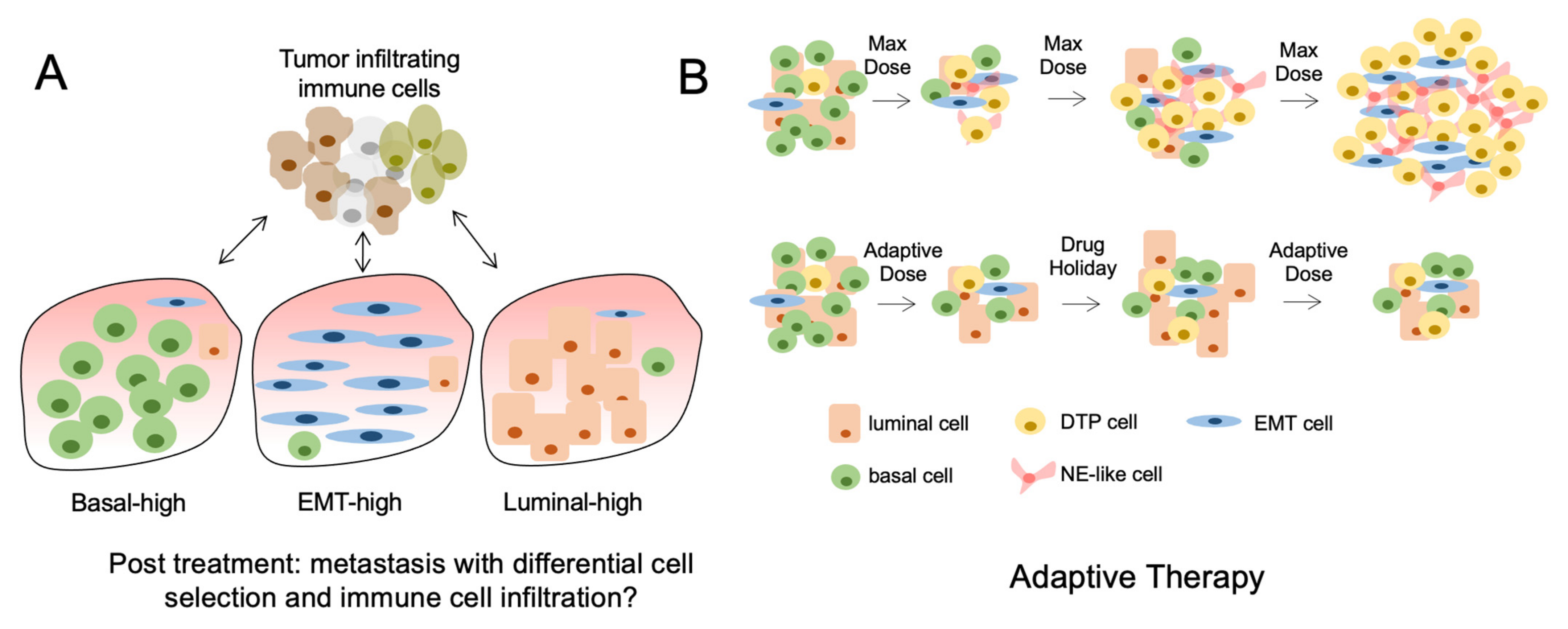 Cancers 13 05297 g002