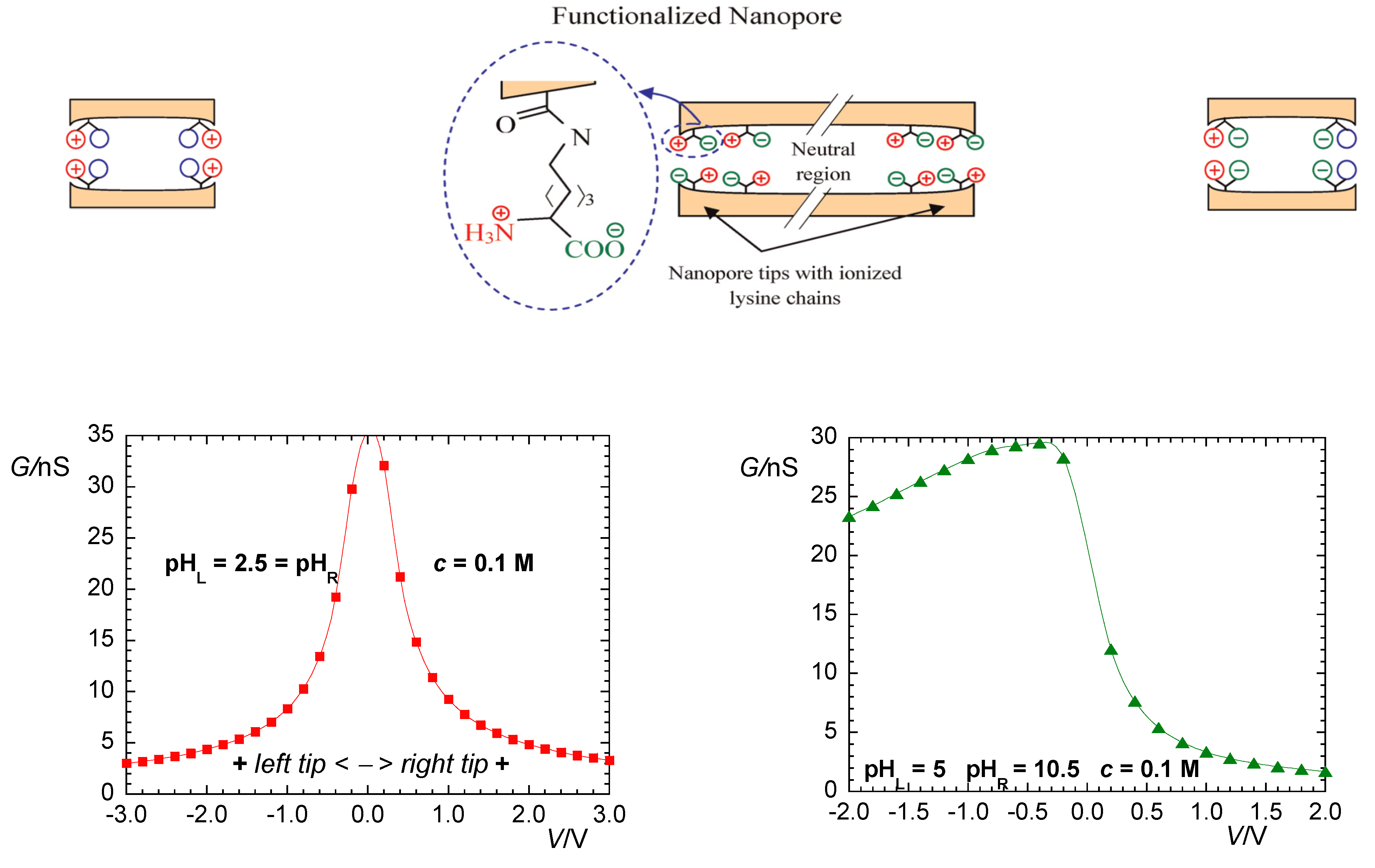 Cancers 13 05300 g002