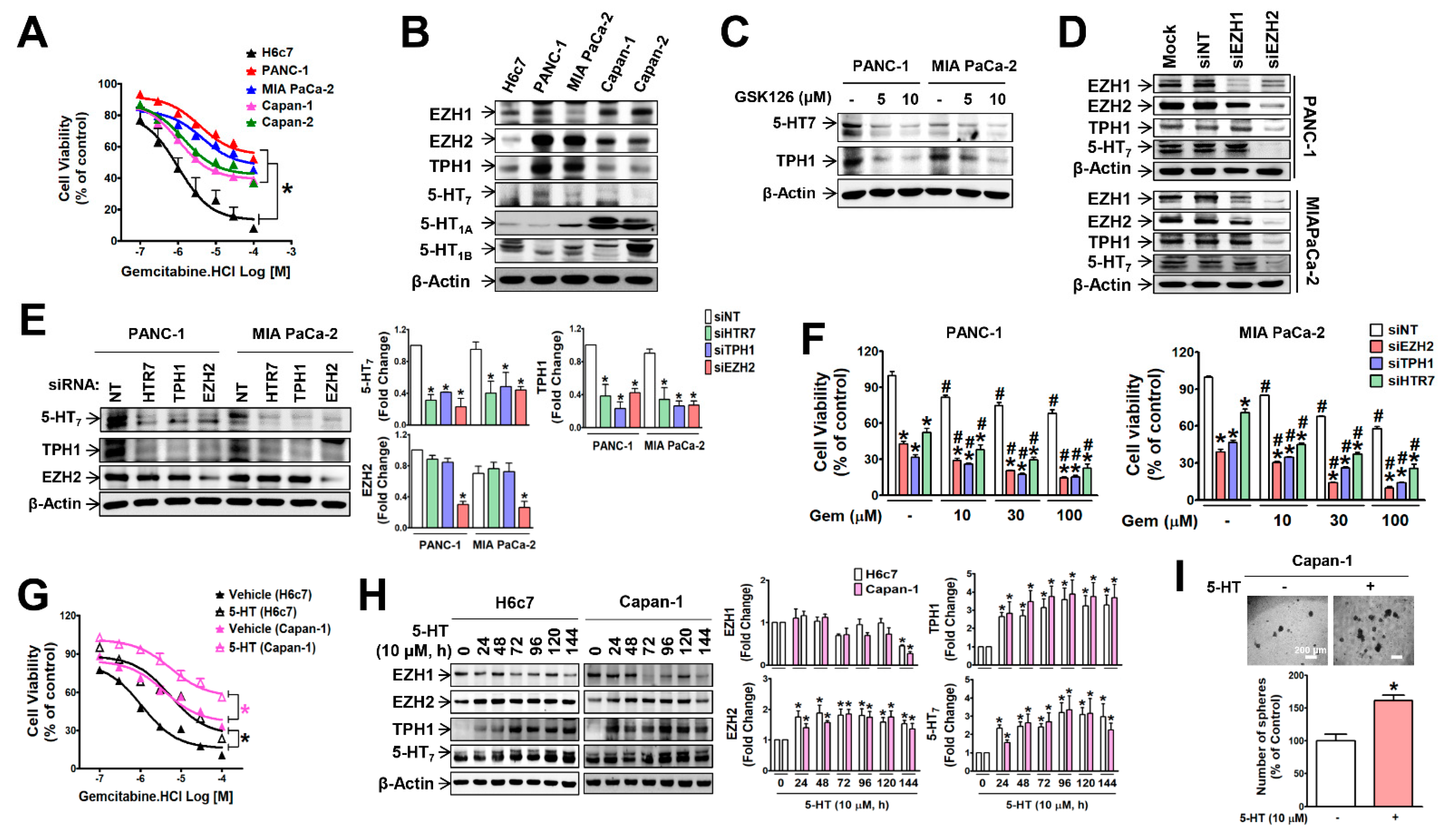Cancers 13 05305 g001