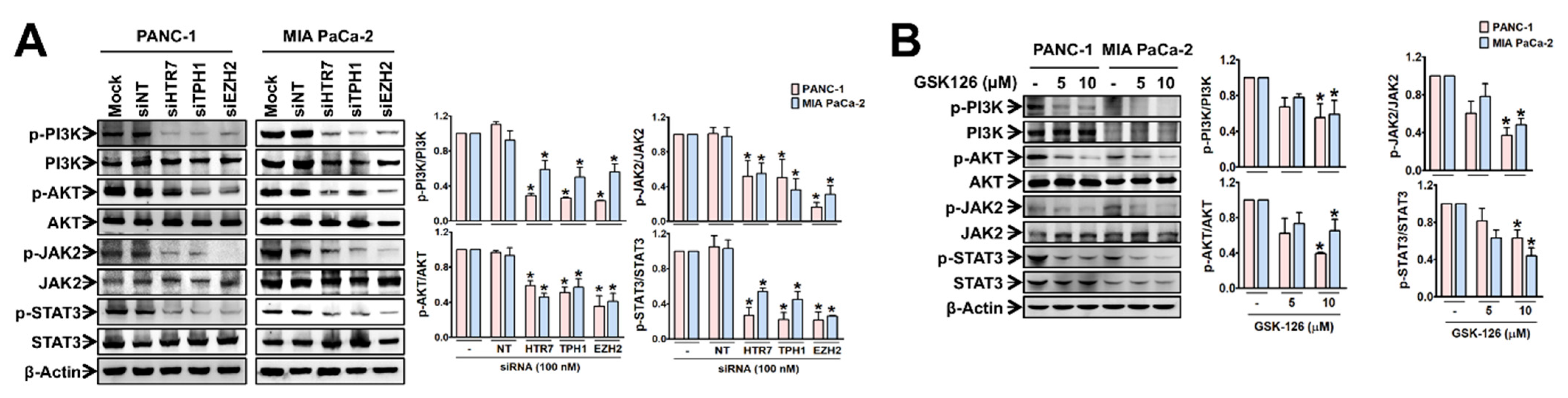 Cancers 13 05305 g003