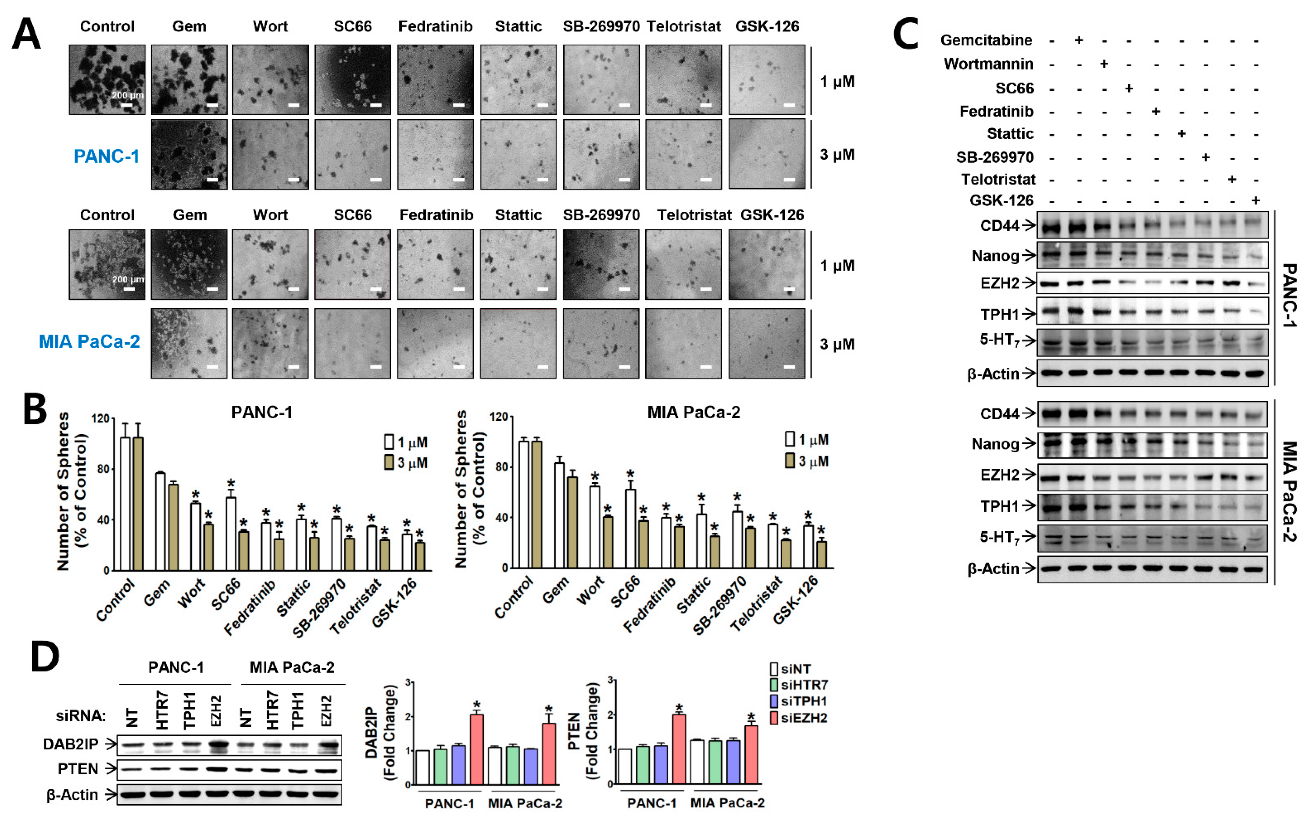 Cancers 13 05305 g004