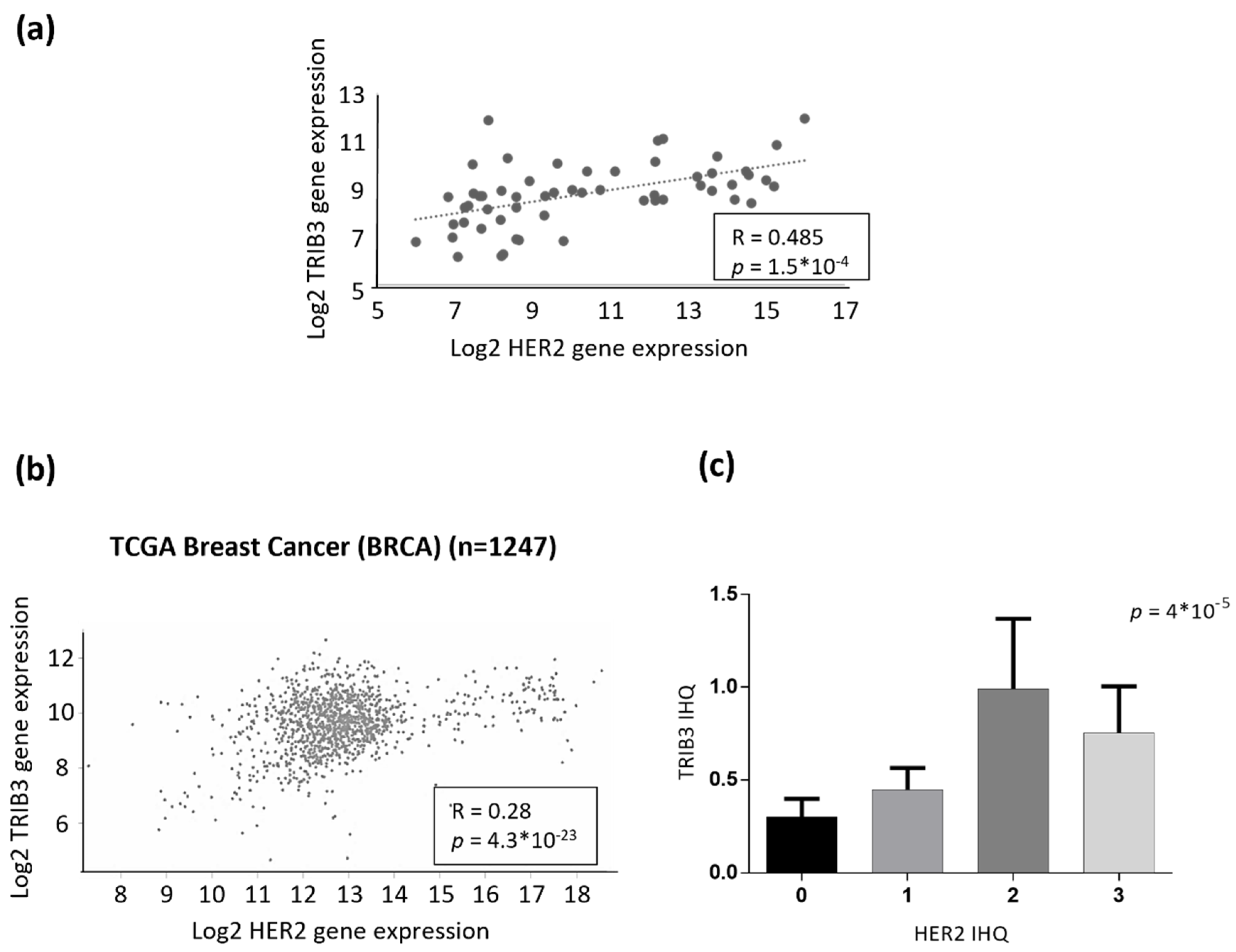 Cancers 13 05307 g003