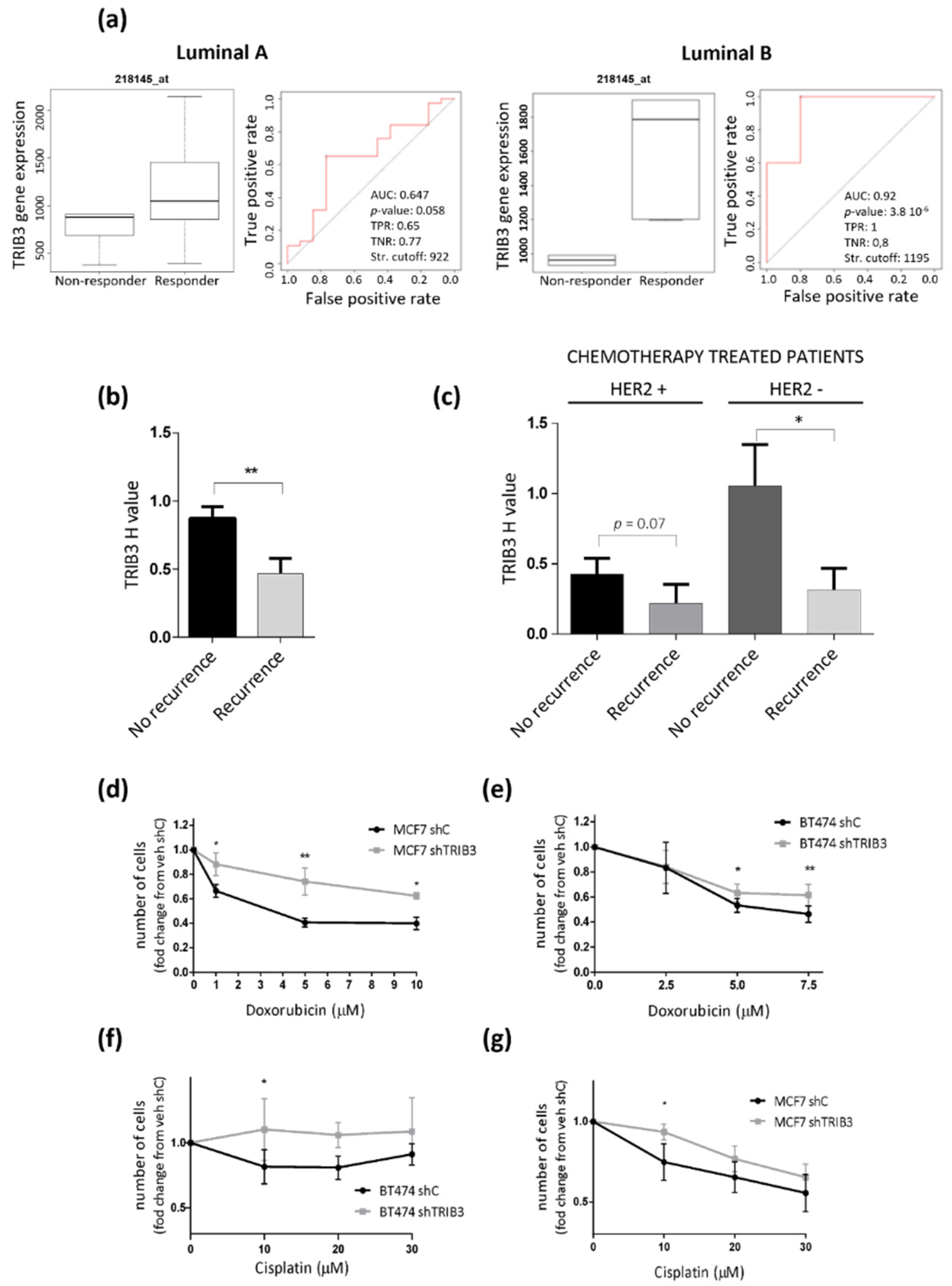 Cancers 13 05307 g006