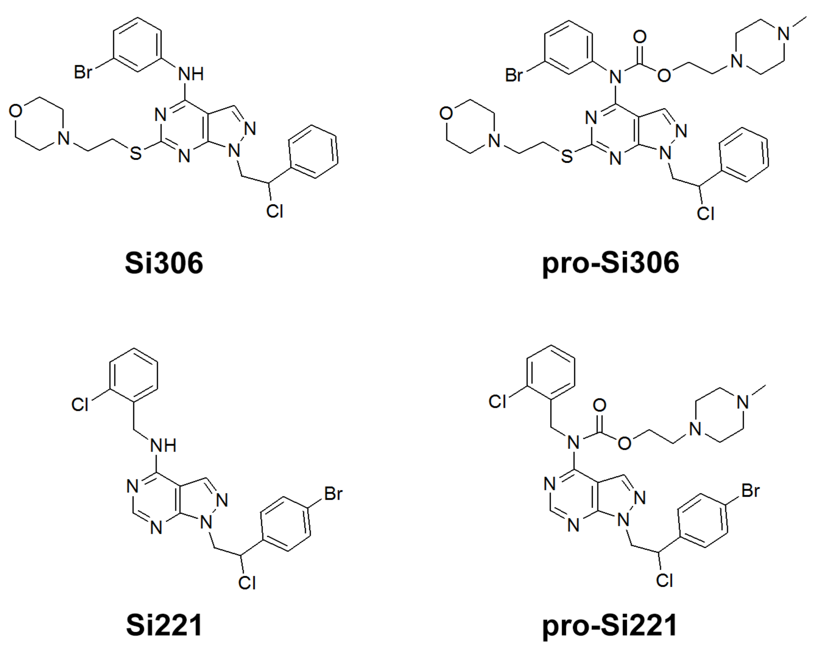 Cancers 13 05308 g001