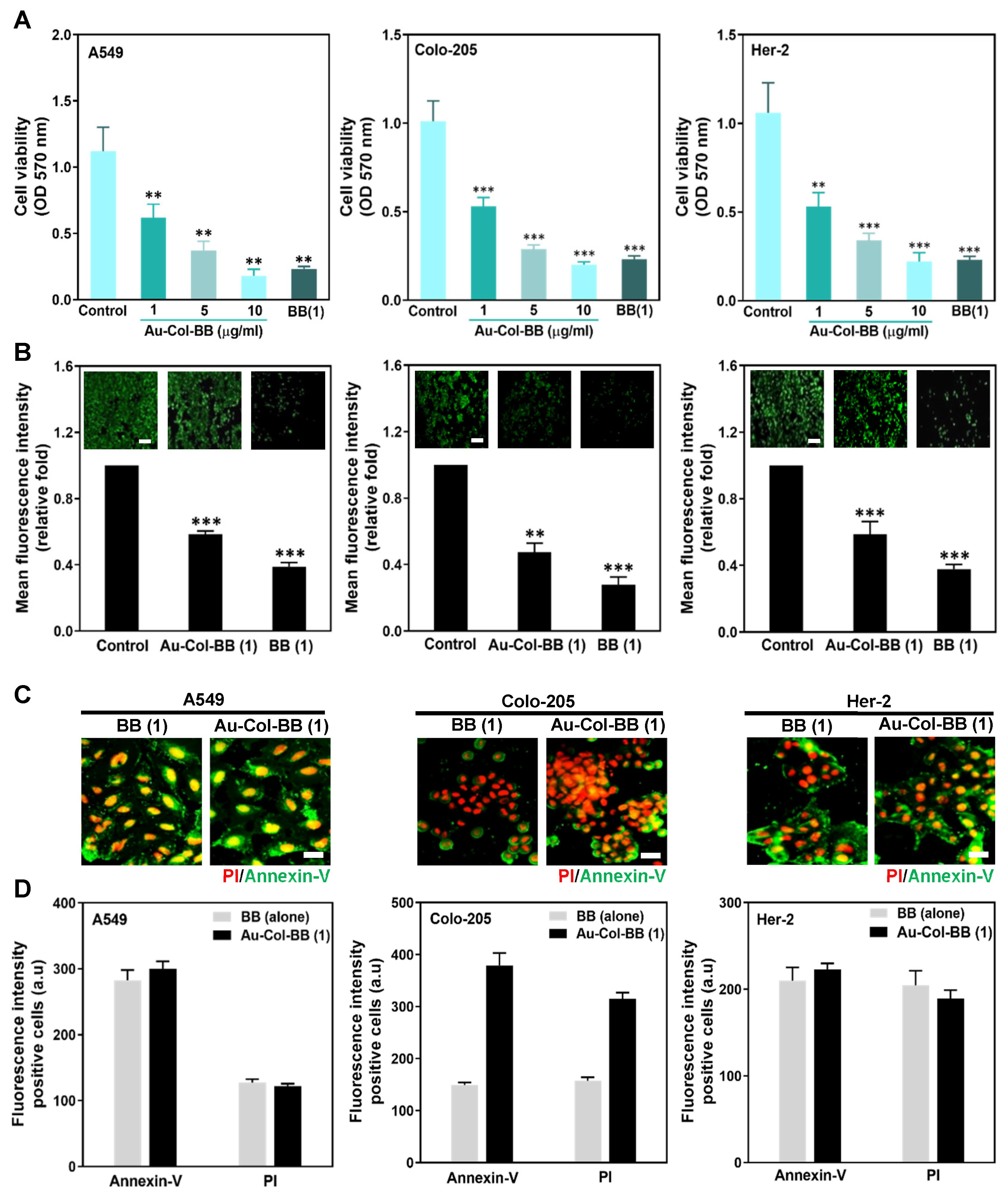 Cancers 13 05317 g002