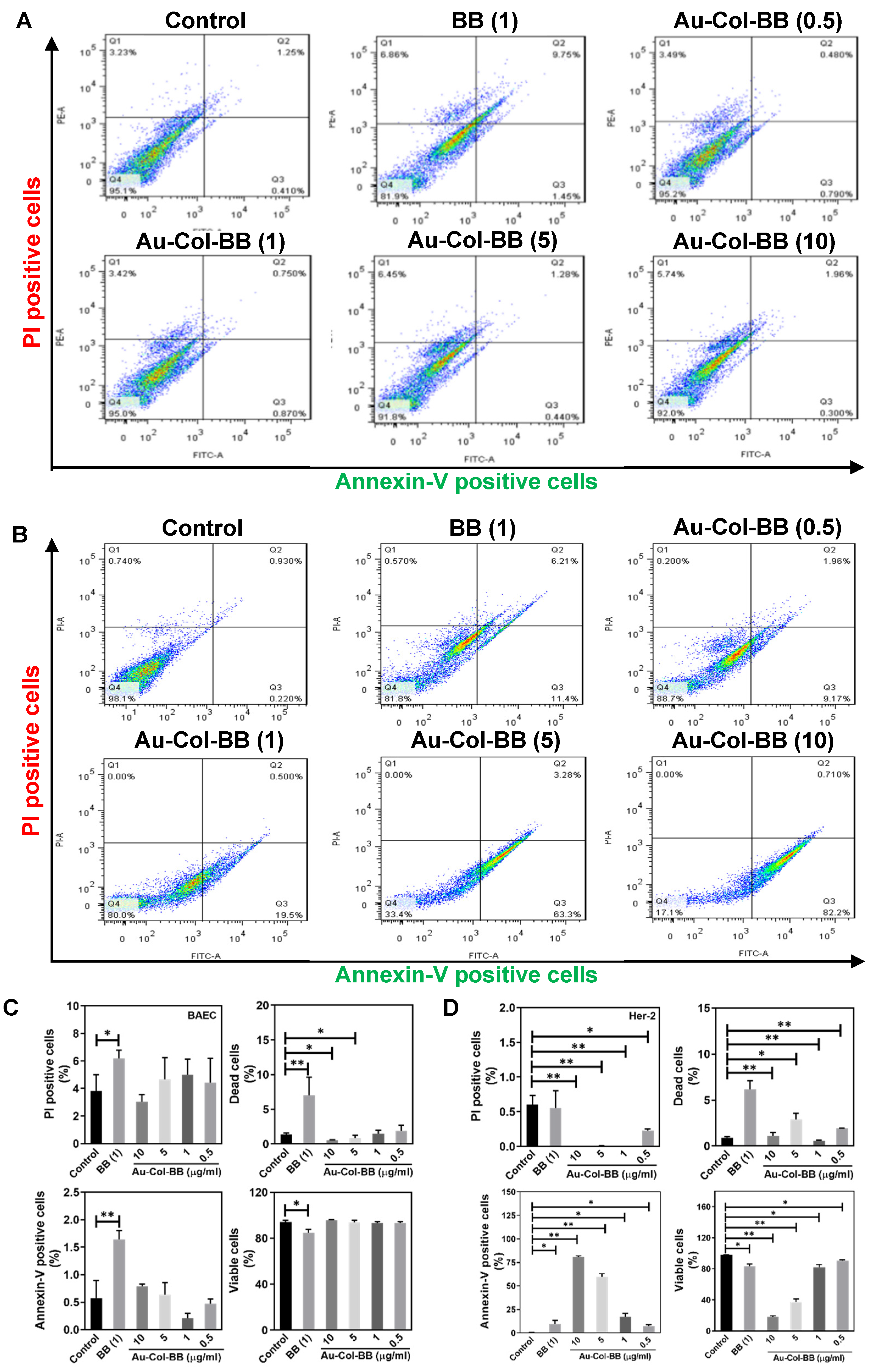 Cancers 13 05317 g004