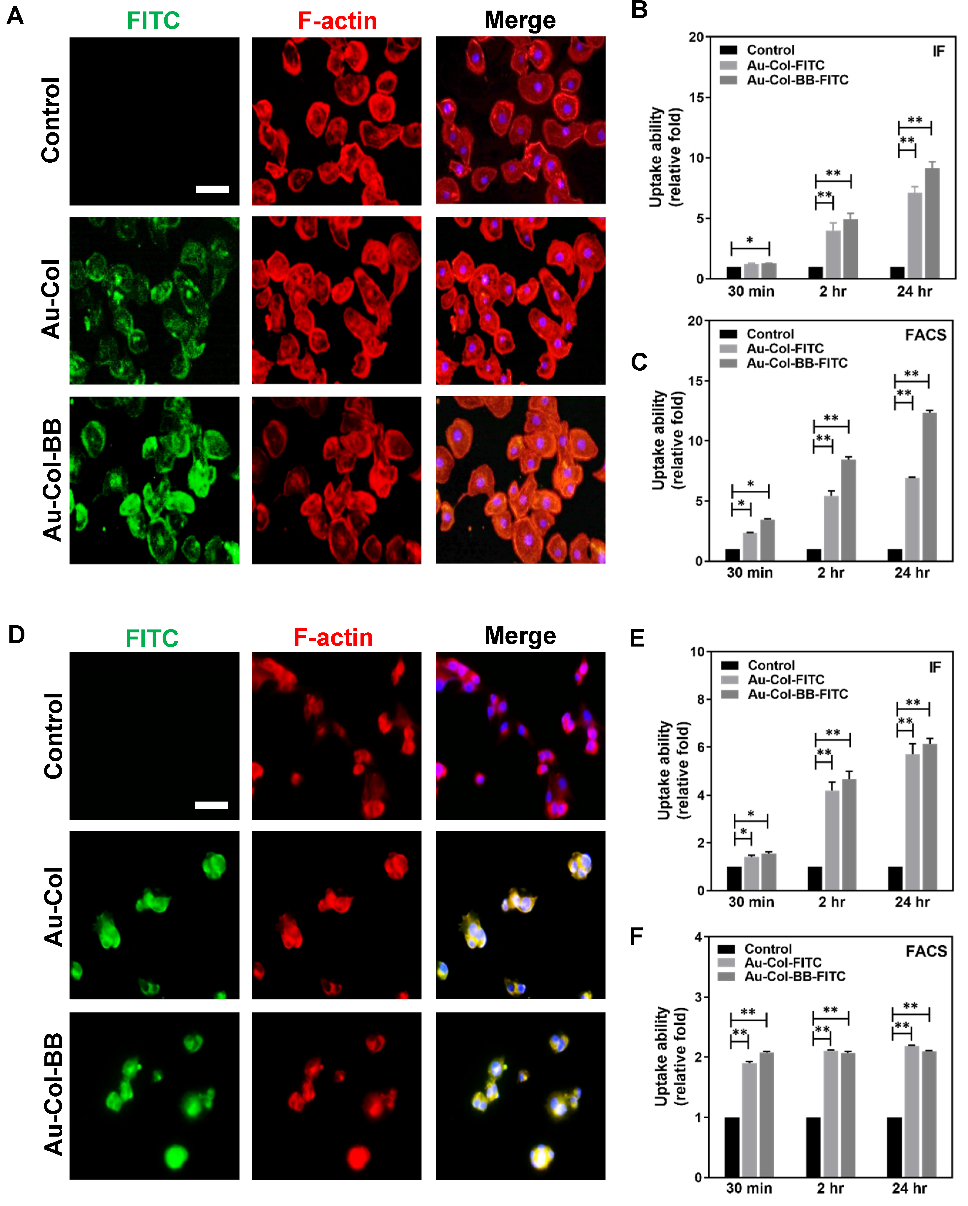 Cancers 13 05317 g005
