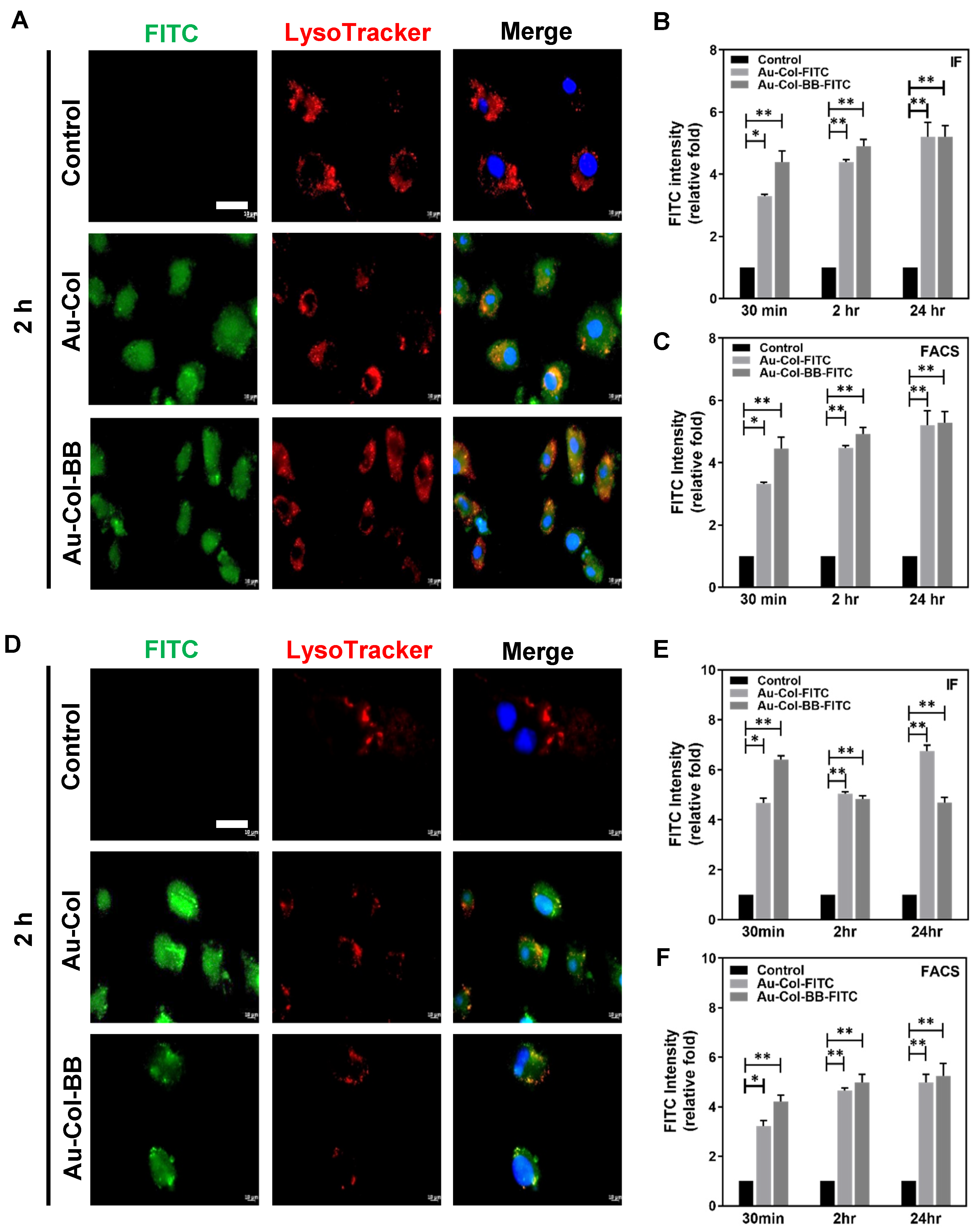 Cancers 13 05317 g006