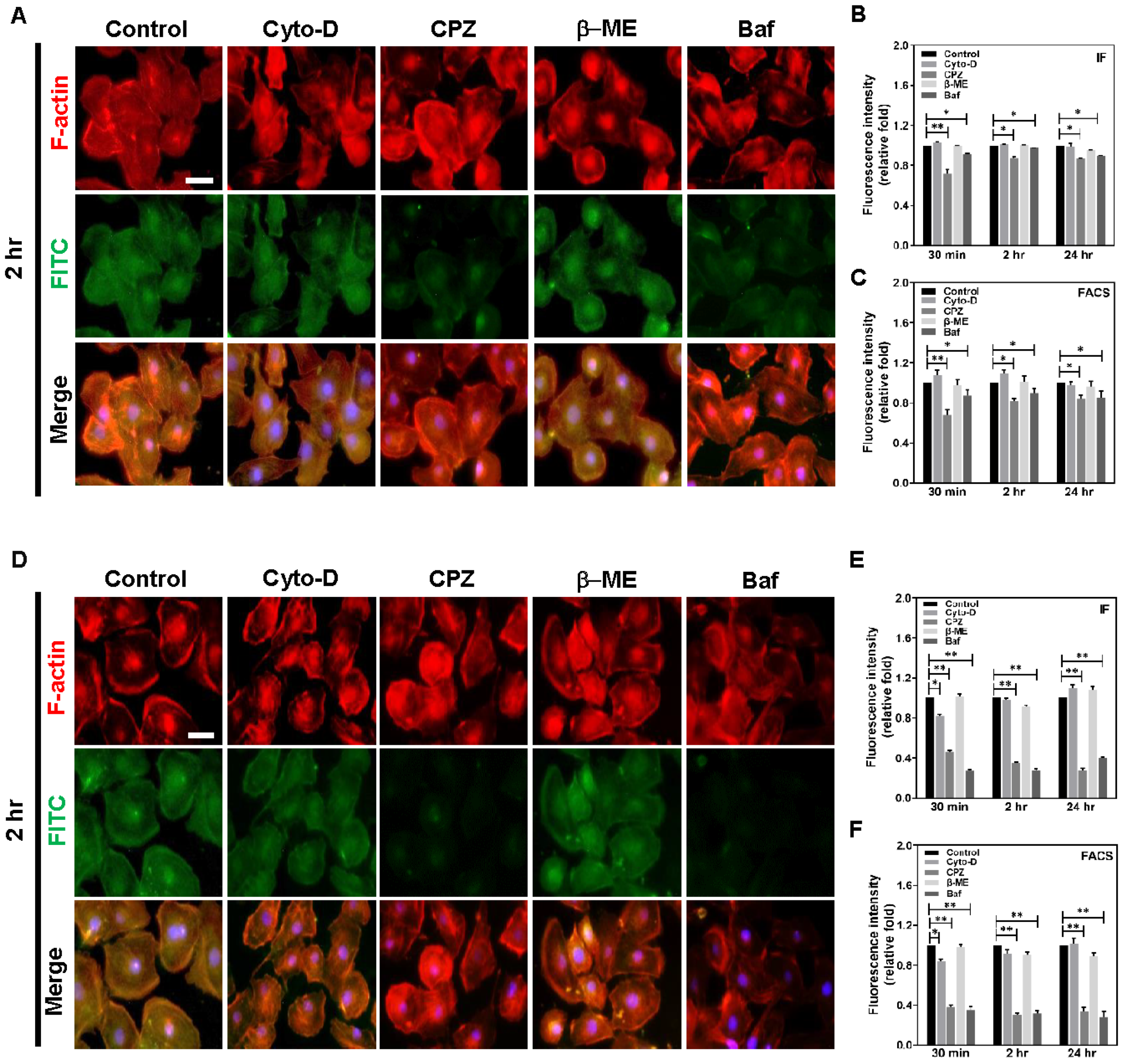 Cancers 13 05317 g007