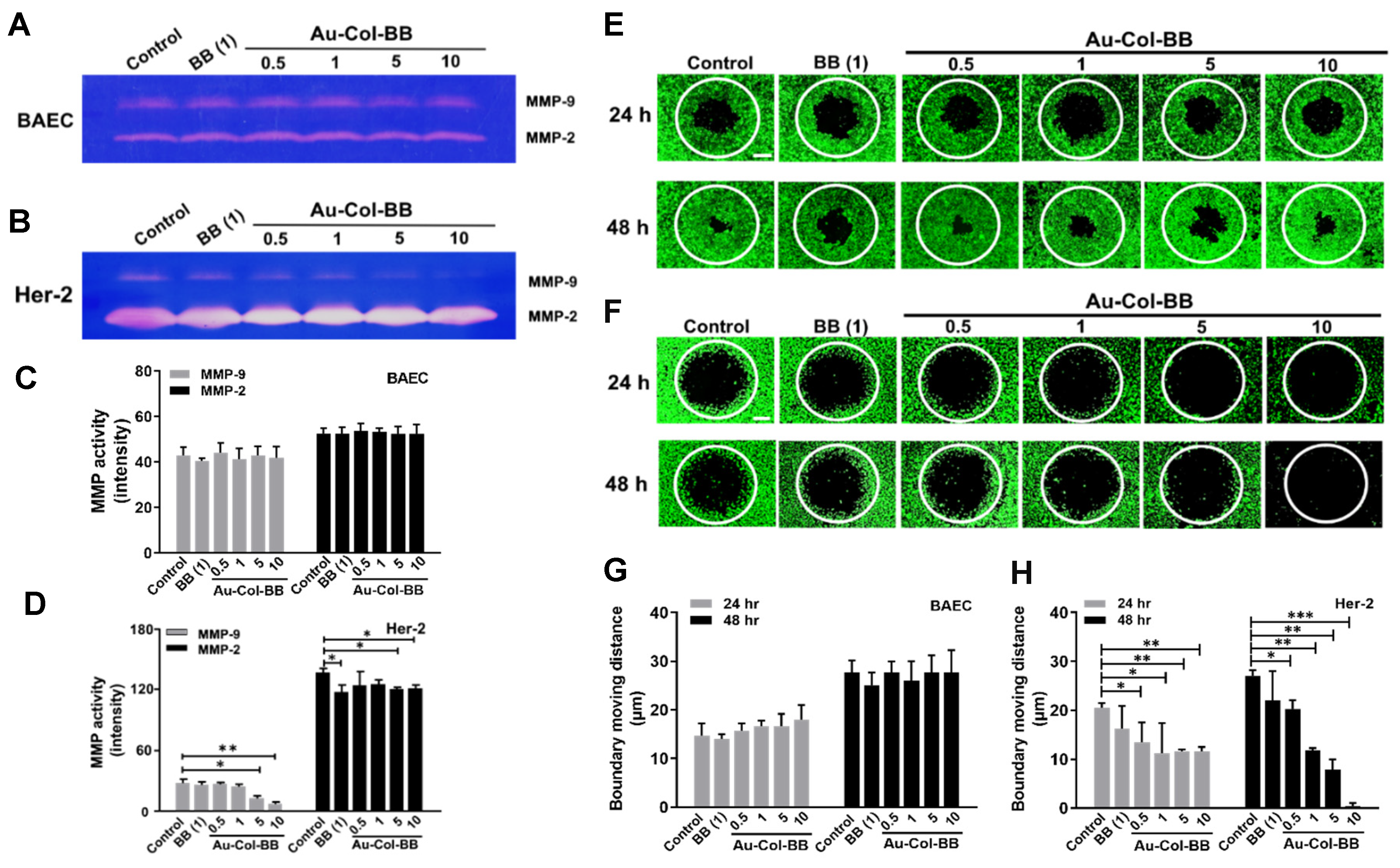 Cancers 13 05317 g008