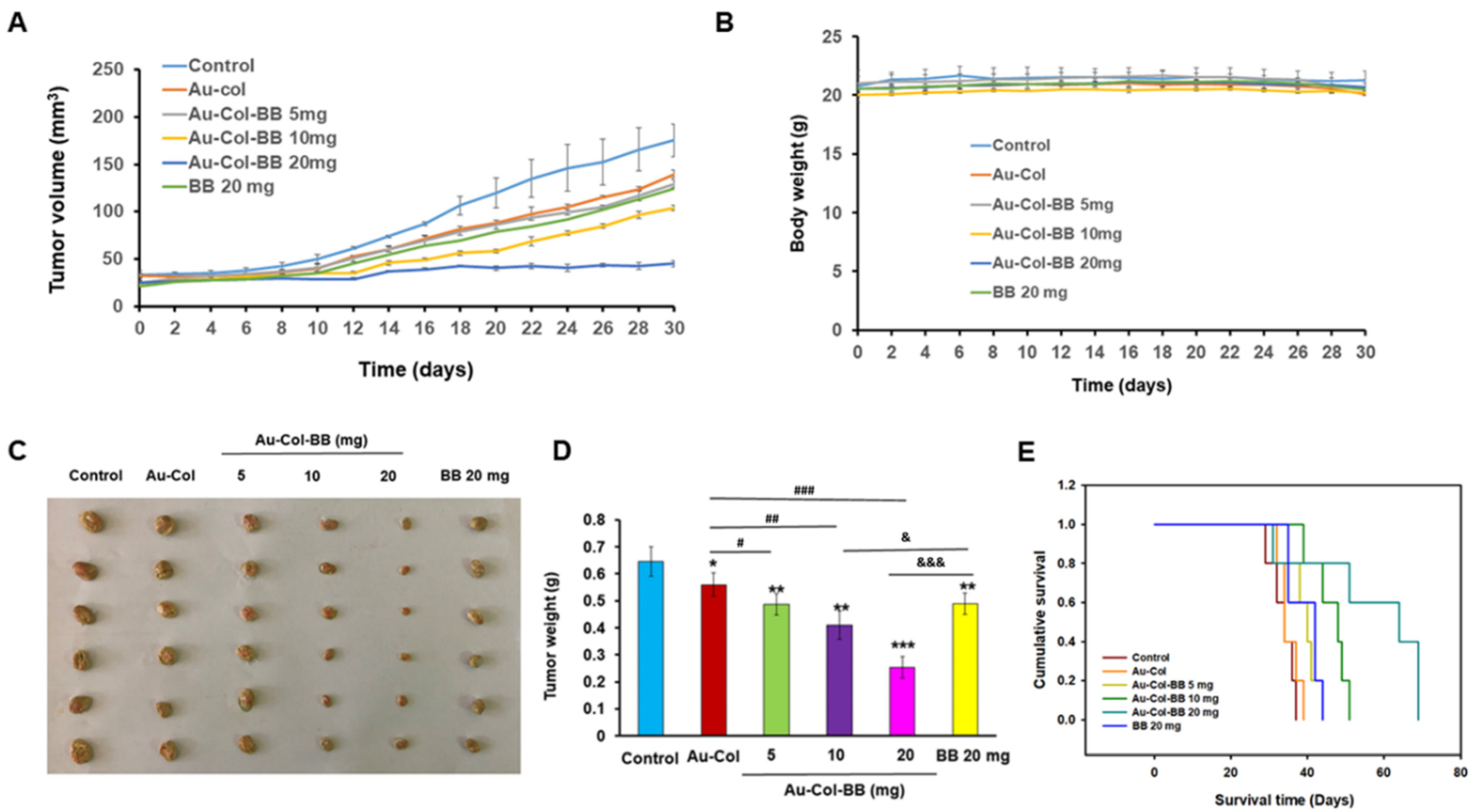 Cancers 13 05317 g010
