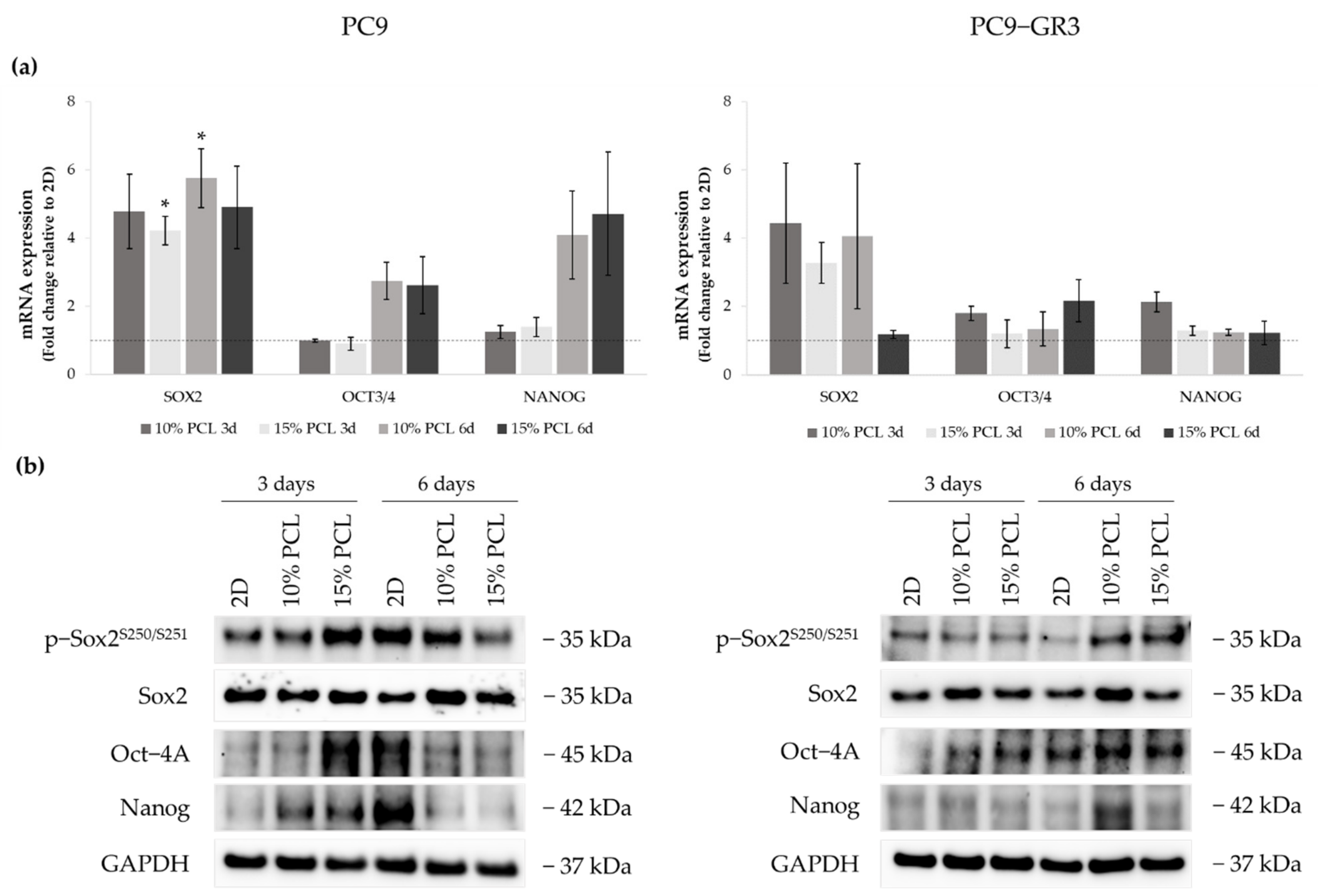 Cancers 13 05320 g008