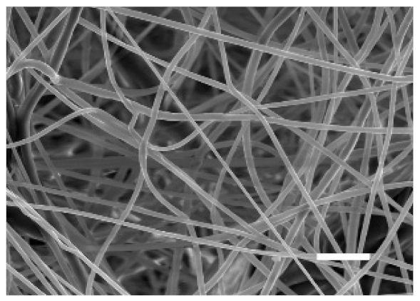 Cancers 13 05320 i002