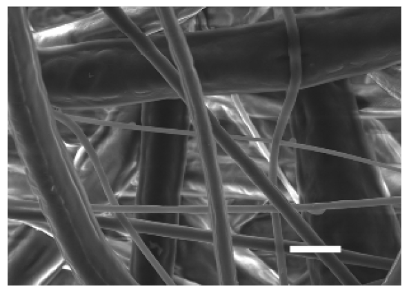 Cancers 13 05320 i008