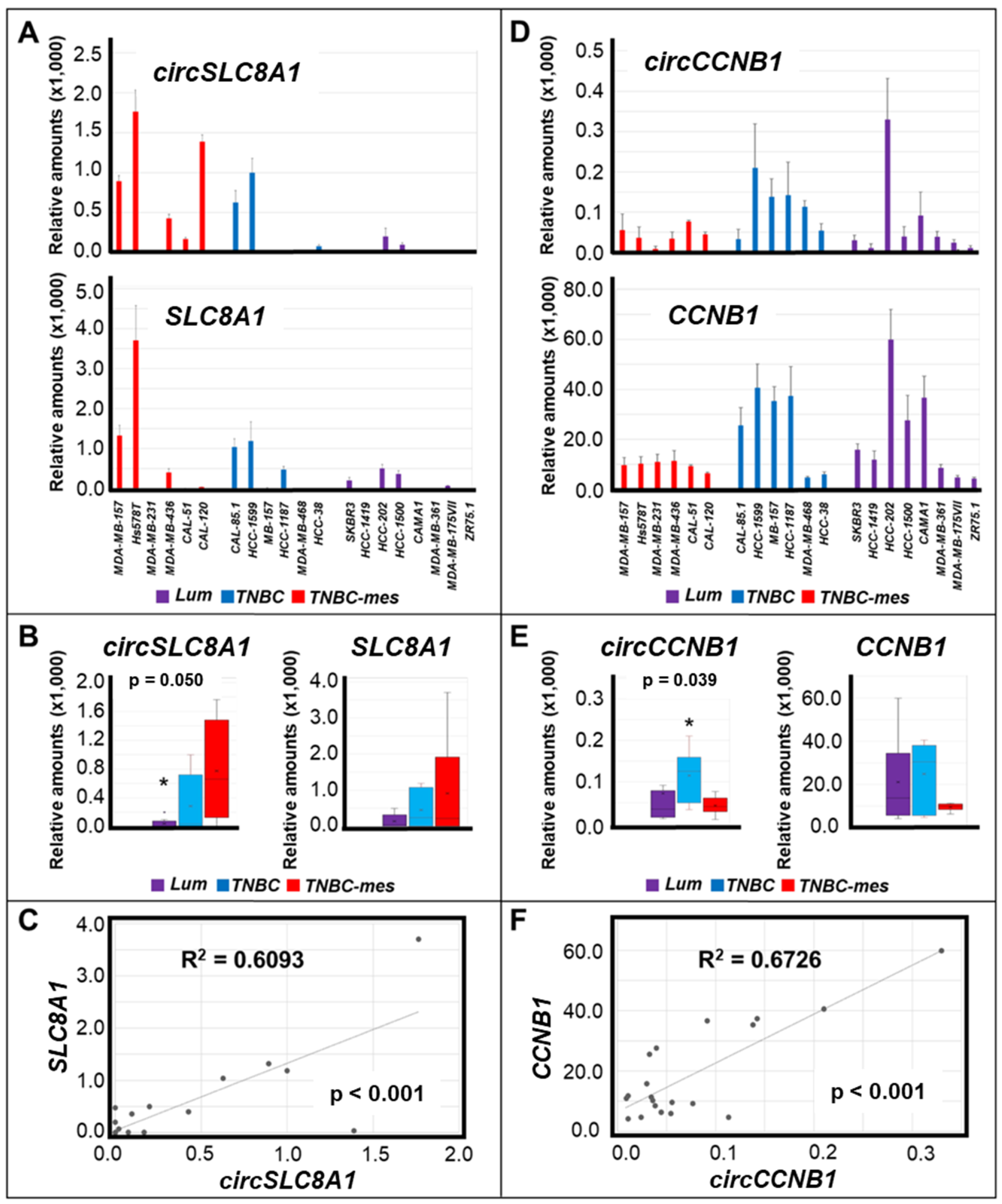 Cancers 13 05325 g001